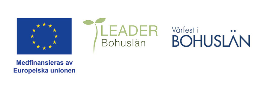 Loggor Vårfest i Bohuslän