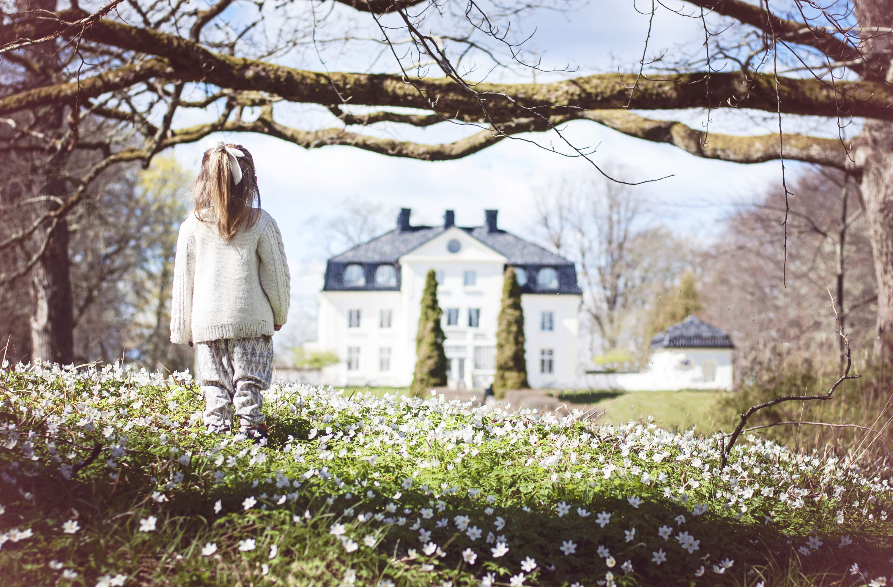 Girl walks among the white anemones towards Baldersnäs