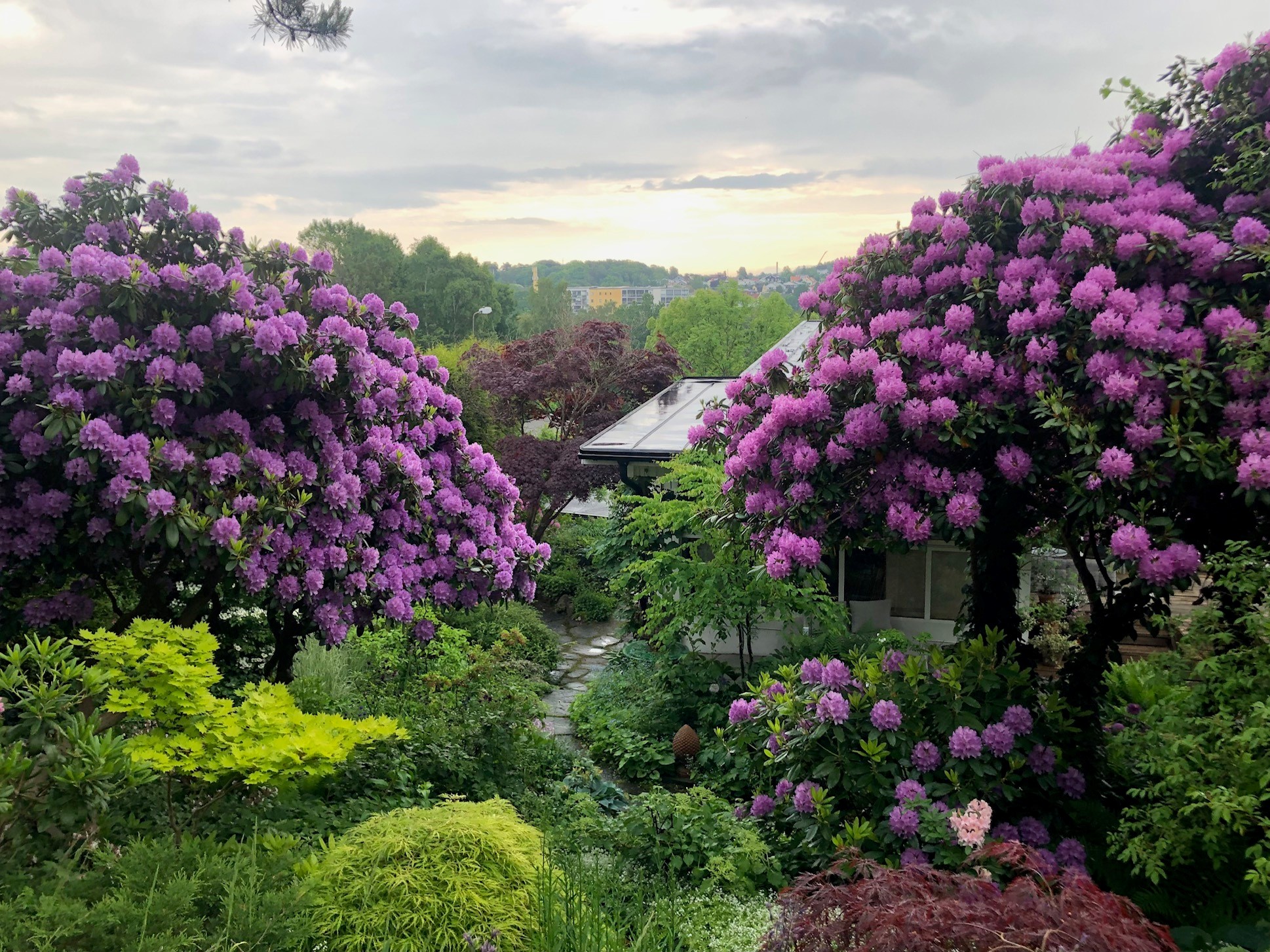 Känn trädgården - a visiting garden just outside of Gothenburg