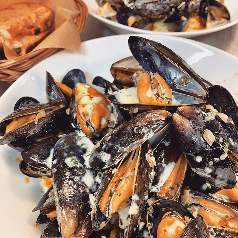 Mussels at Magasisnet