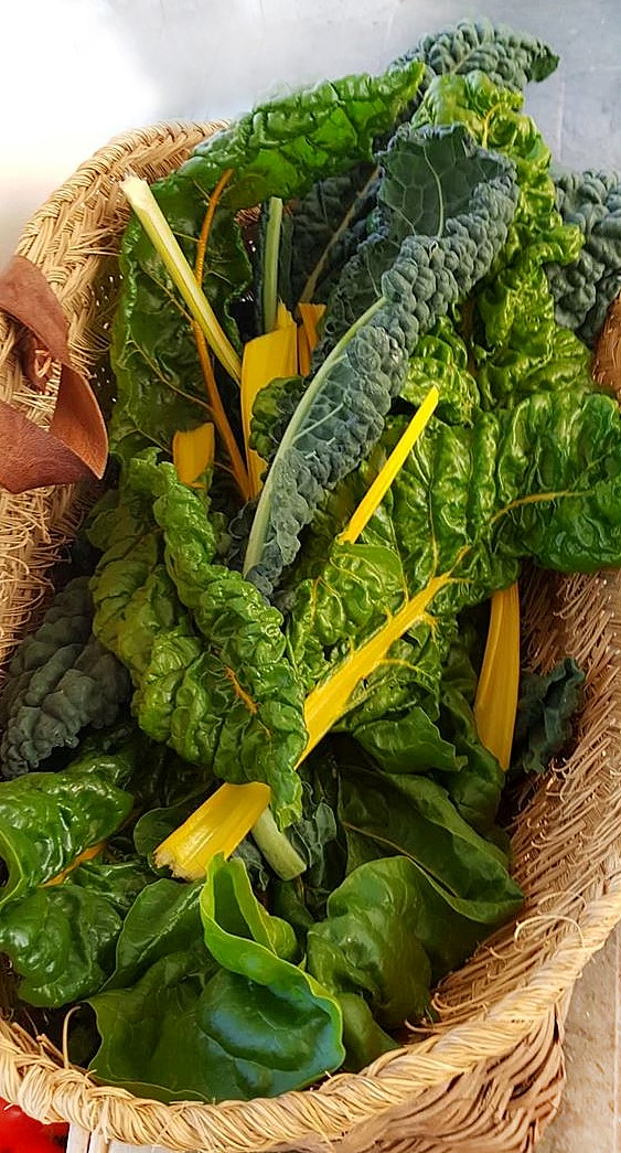 Fresh sallad