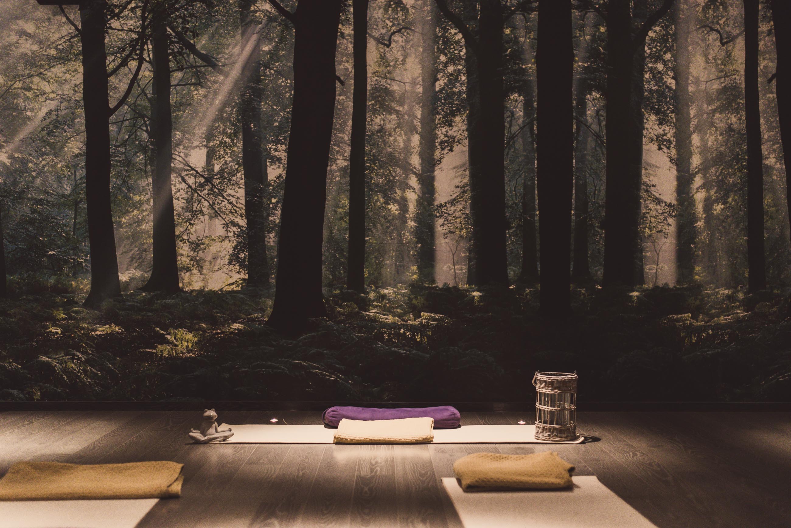  Dark yoga studio designed for yoga practice.