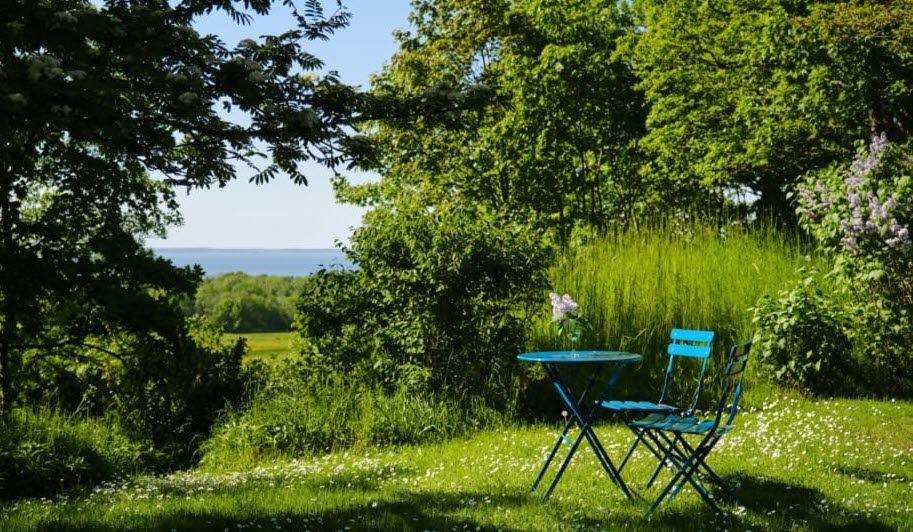 A scenic view over the greenery from Trolmens Bed & Breakfast