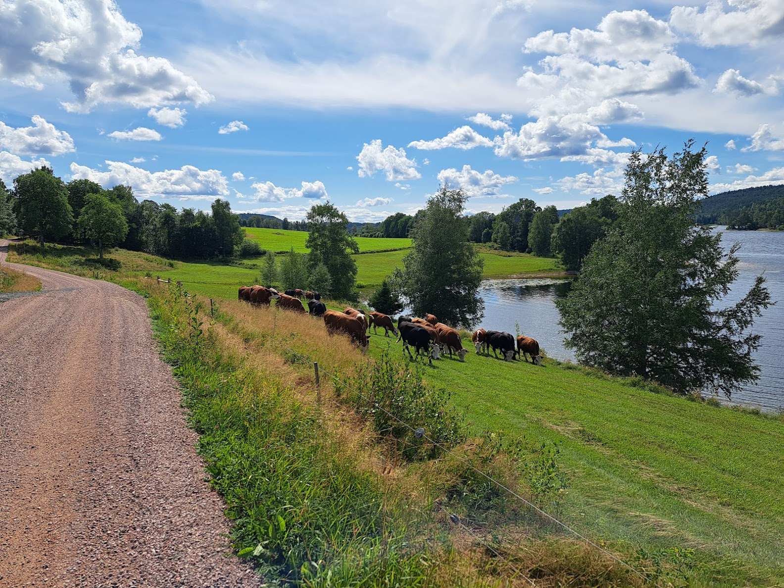 A beautiful landscape in Dalsland, The Dalsland Experience