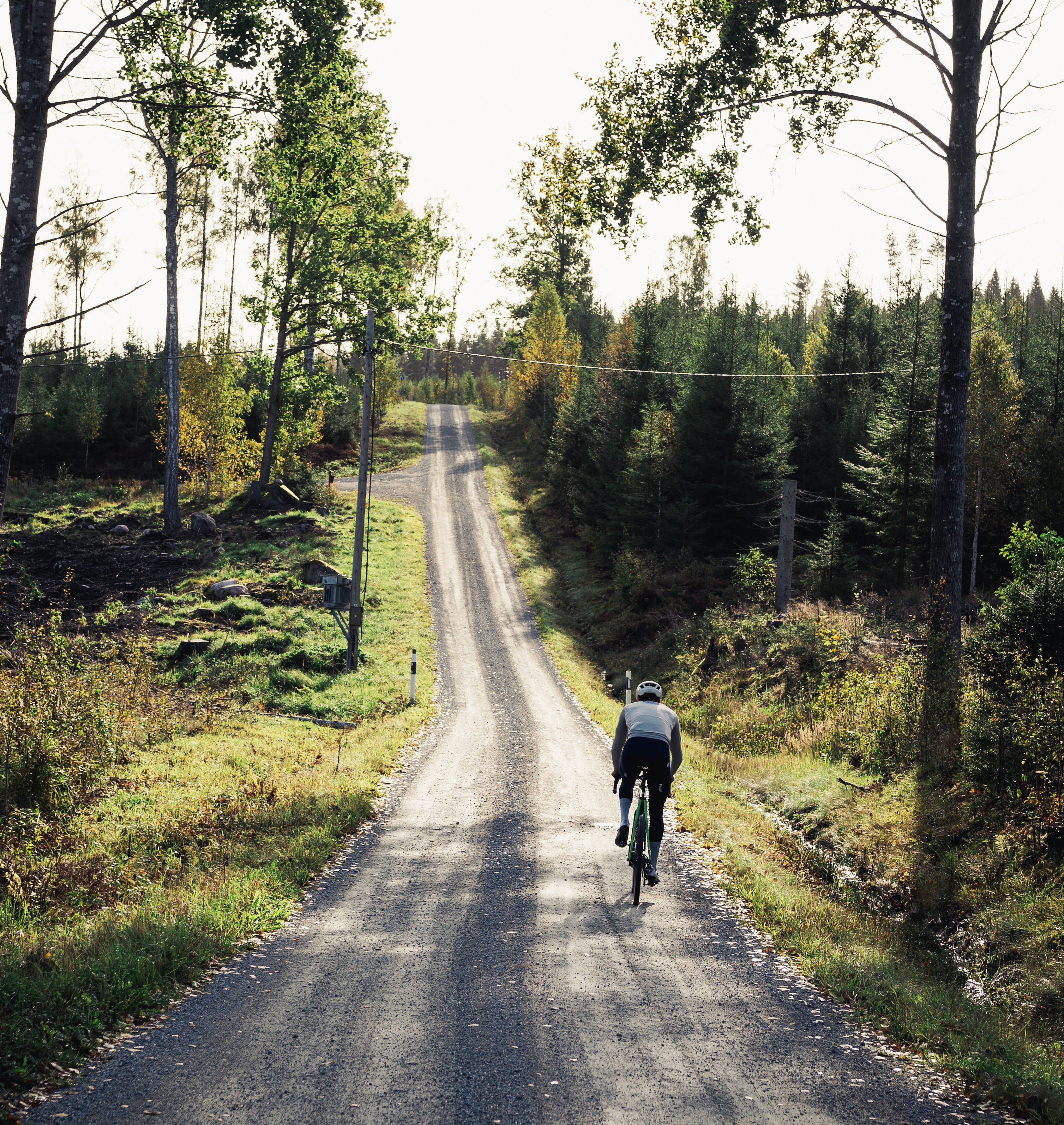 Cyclist on a dirt road in the forest.