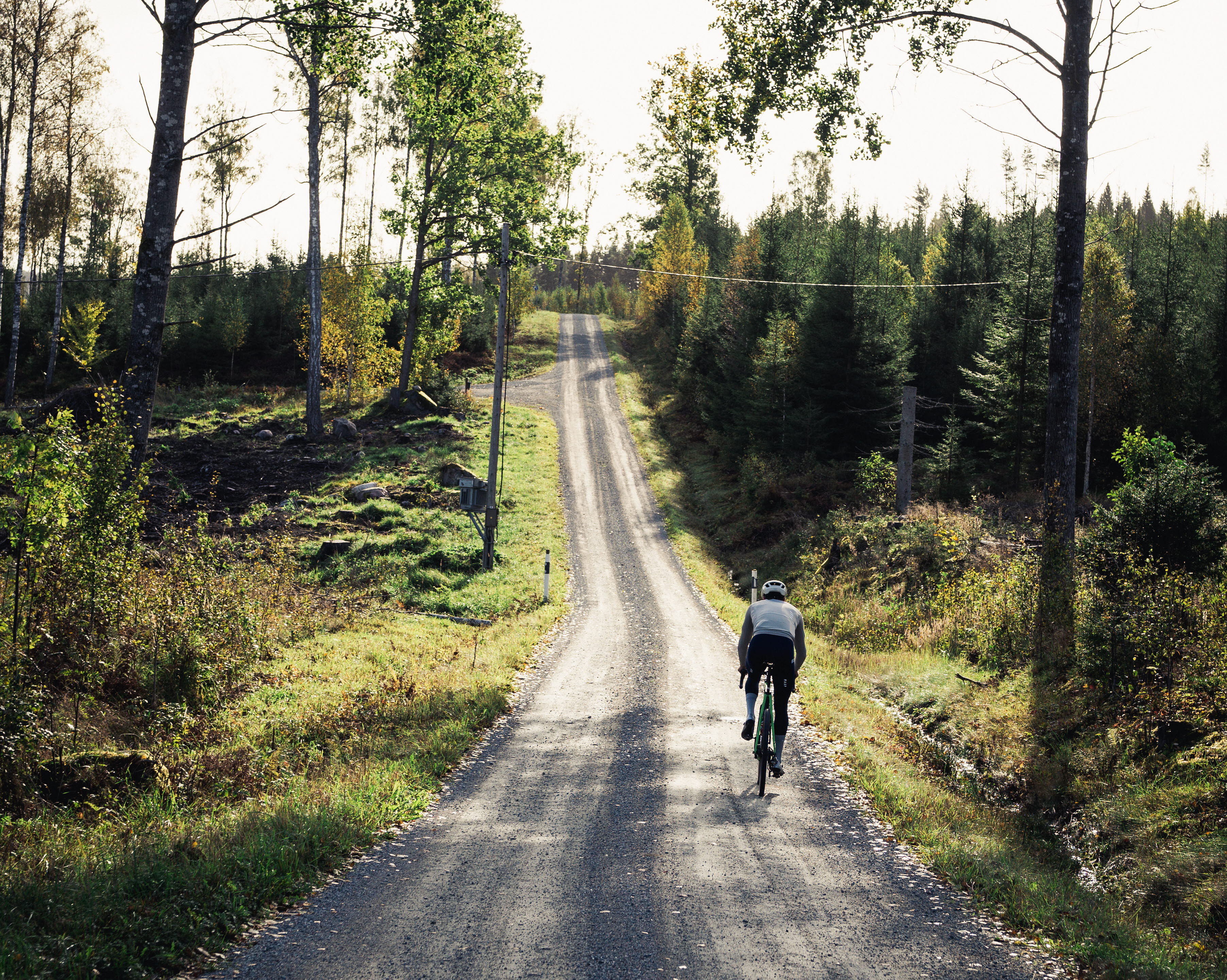 Cyclist on a dirt road in the forest.