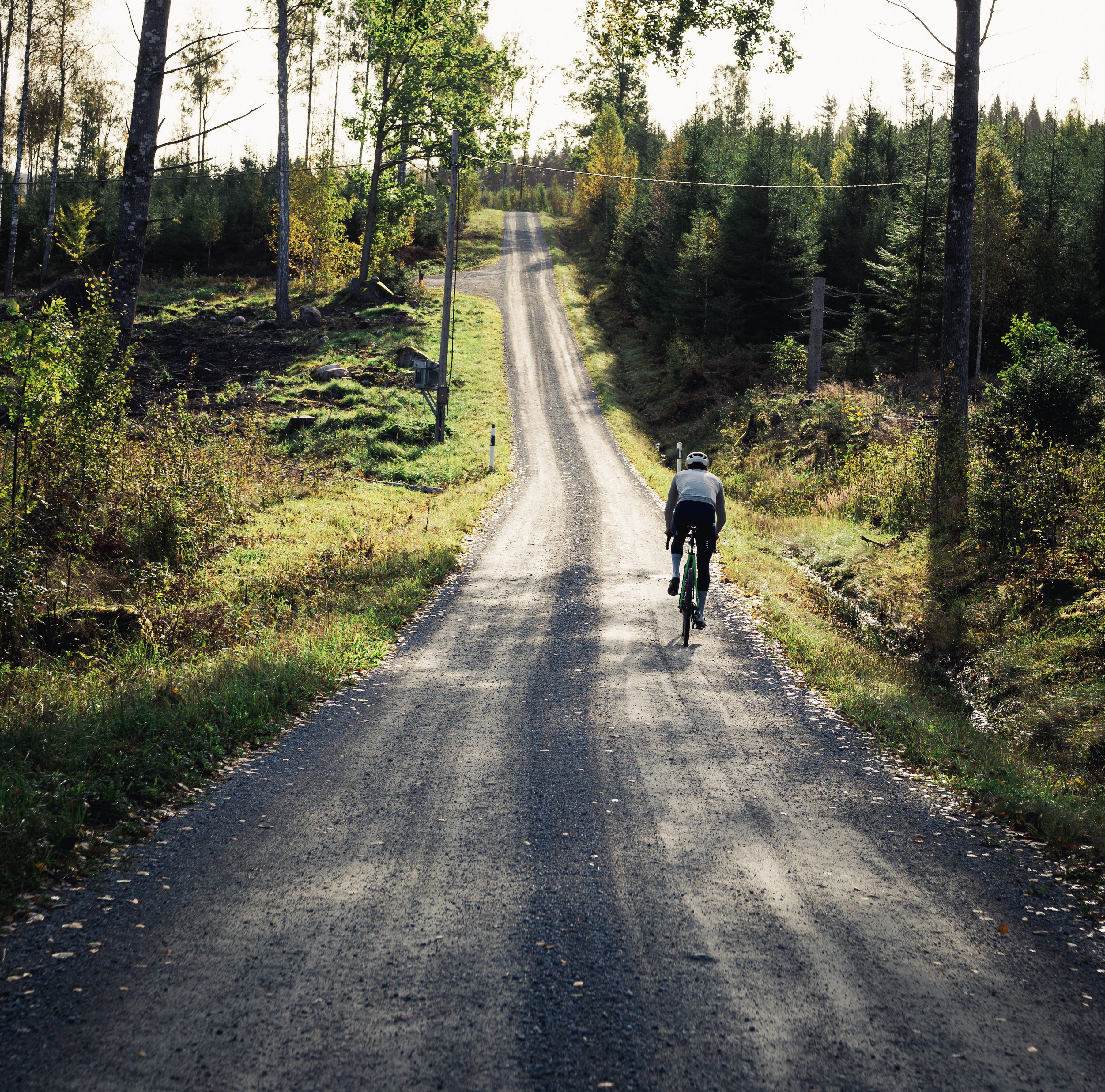 Cyclist on a dirt road in the forest.