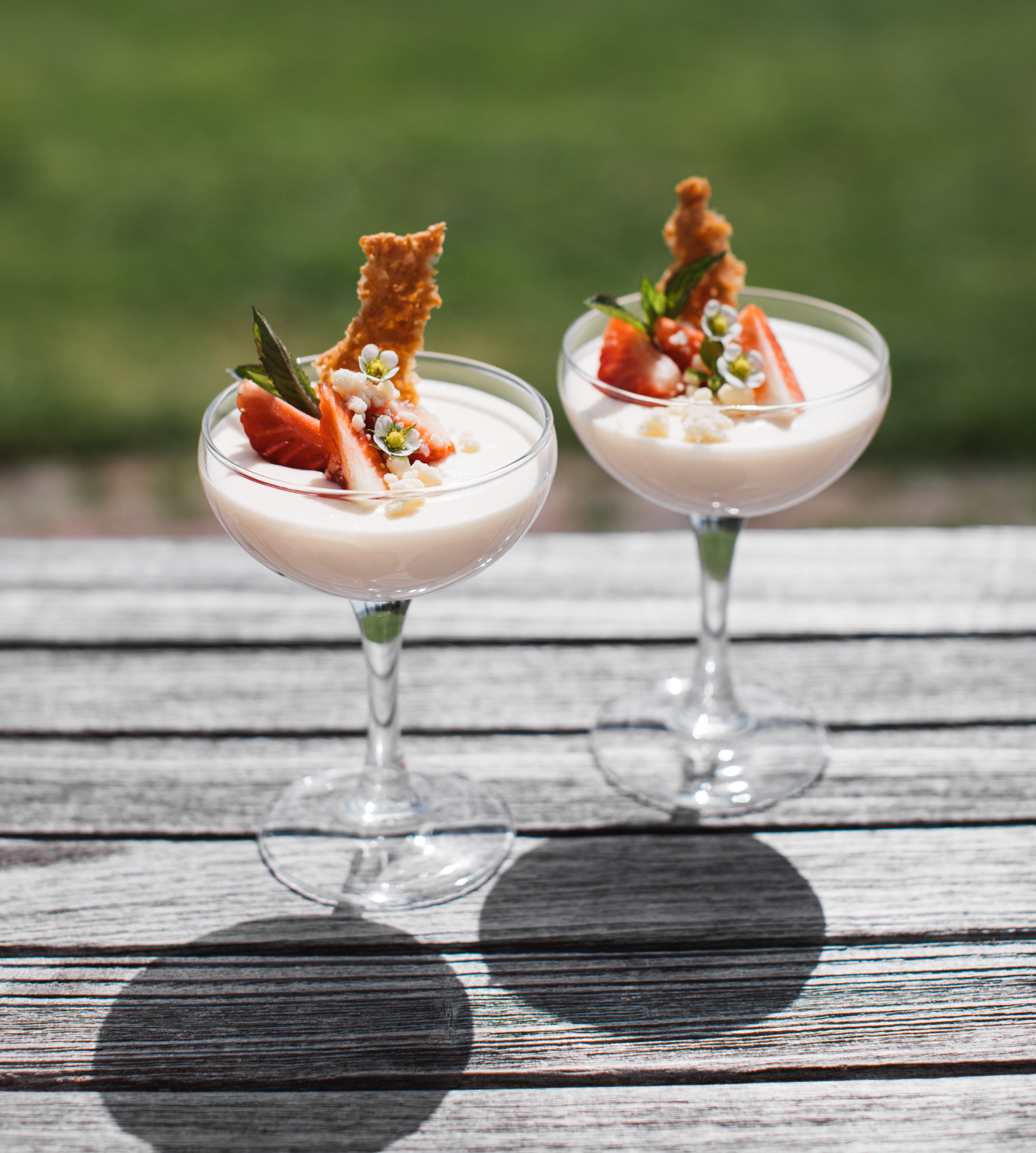 Dessert laid out on a summery table outside.