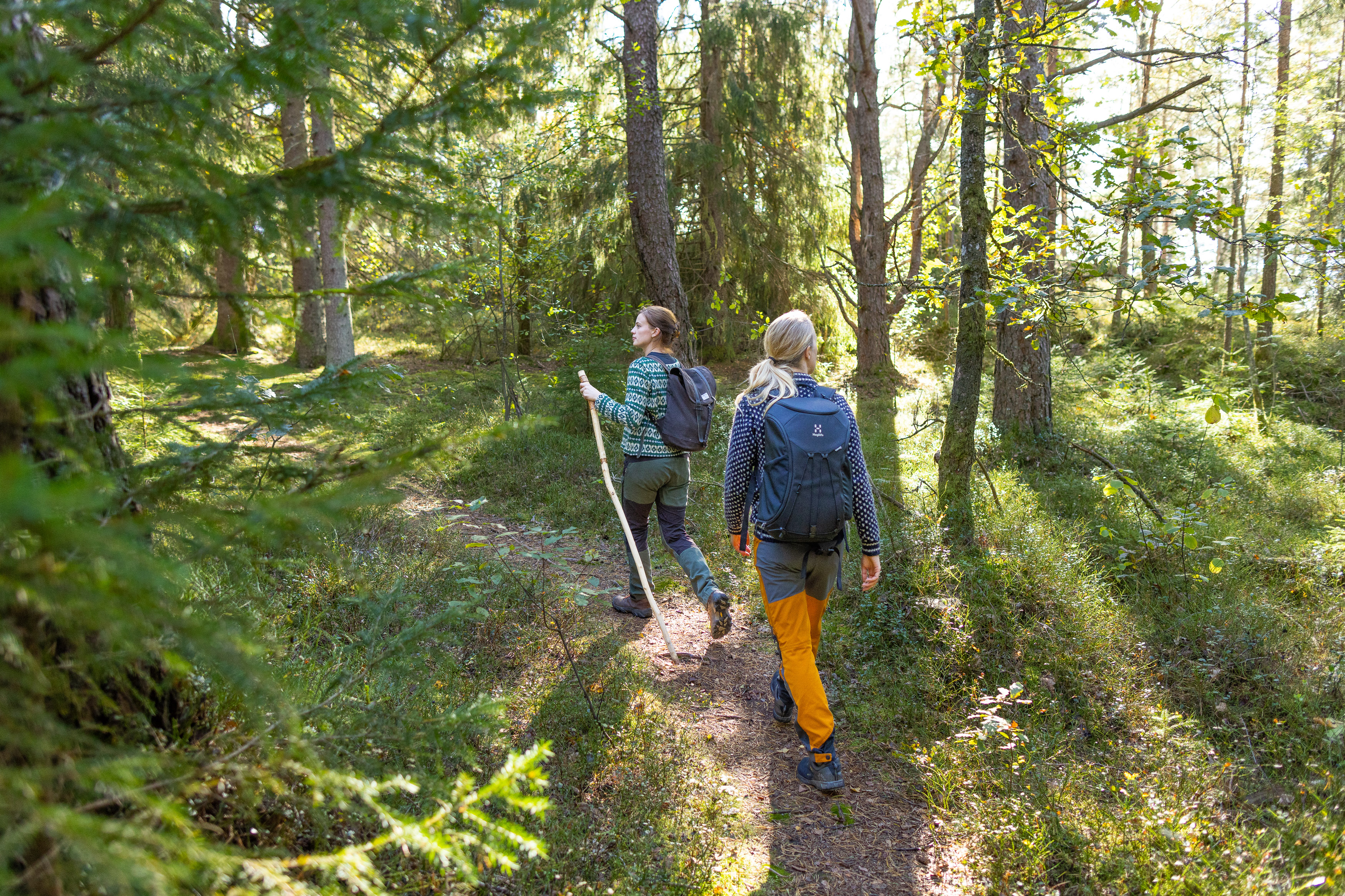 Hikers along Bohusleden