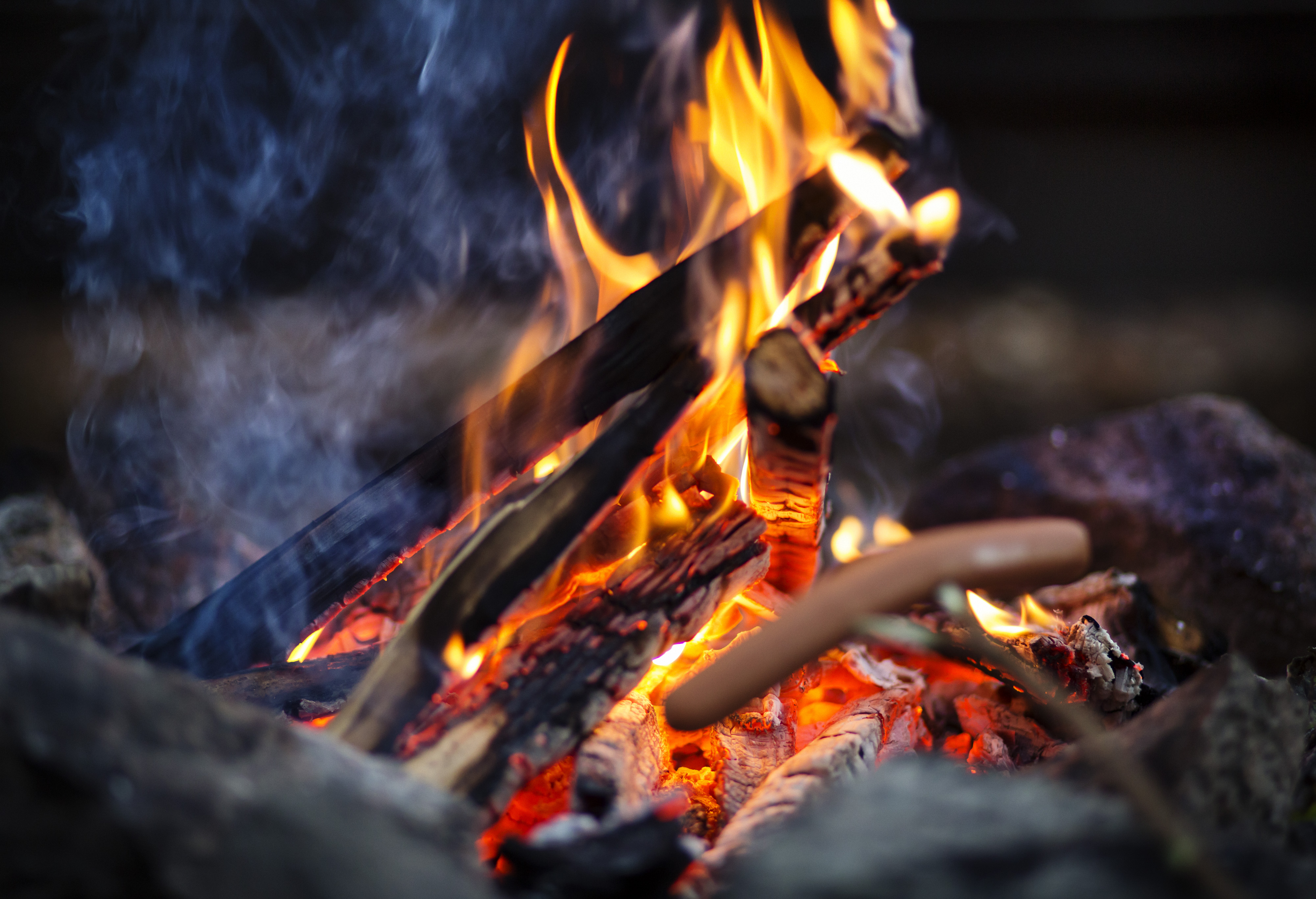 Grilling hot dog over open fire
