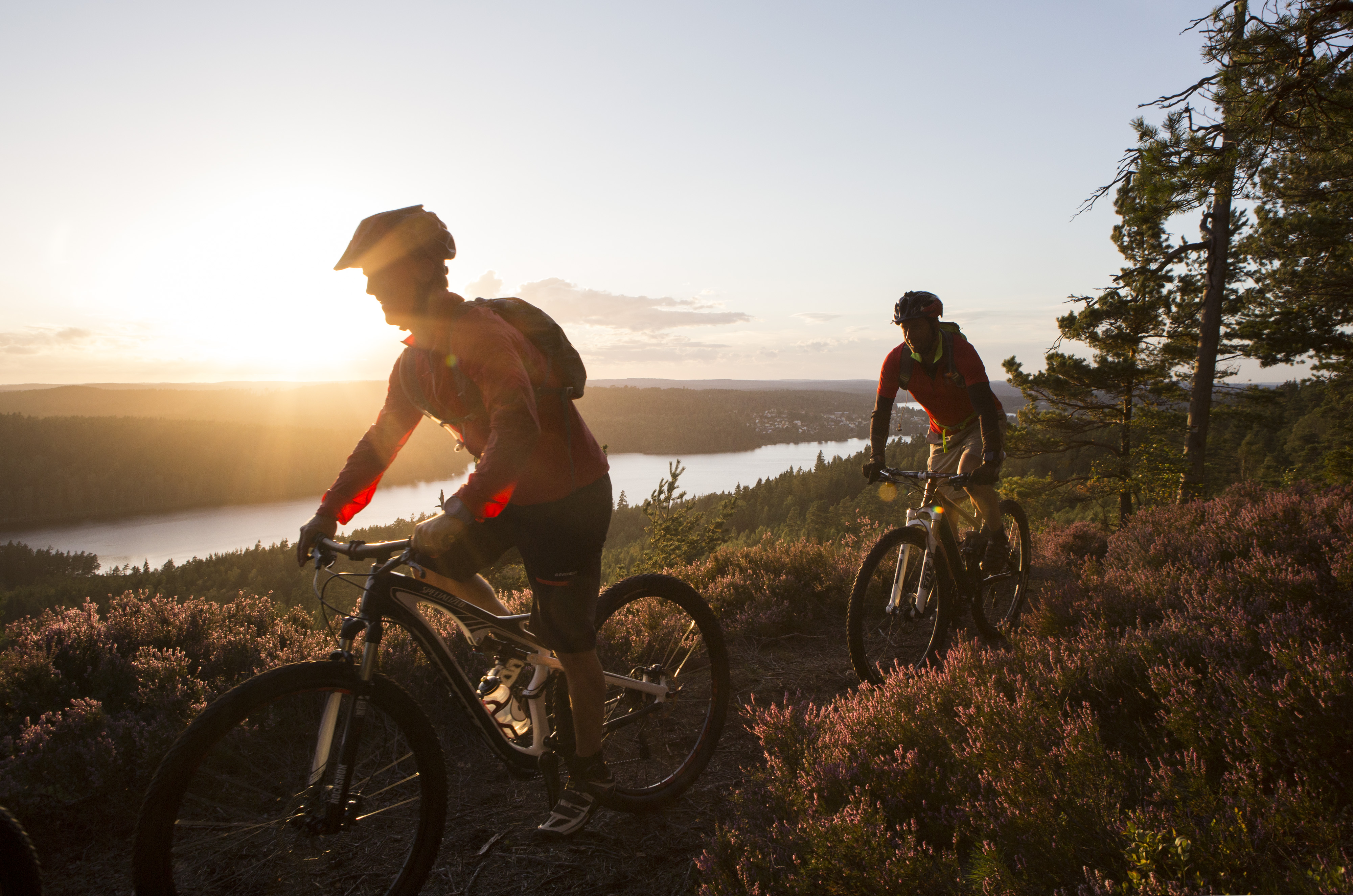 Two men on mountainbikes in the forrest