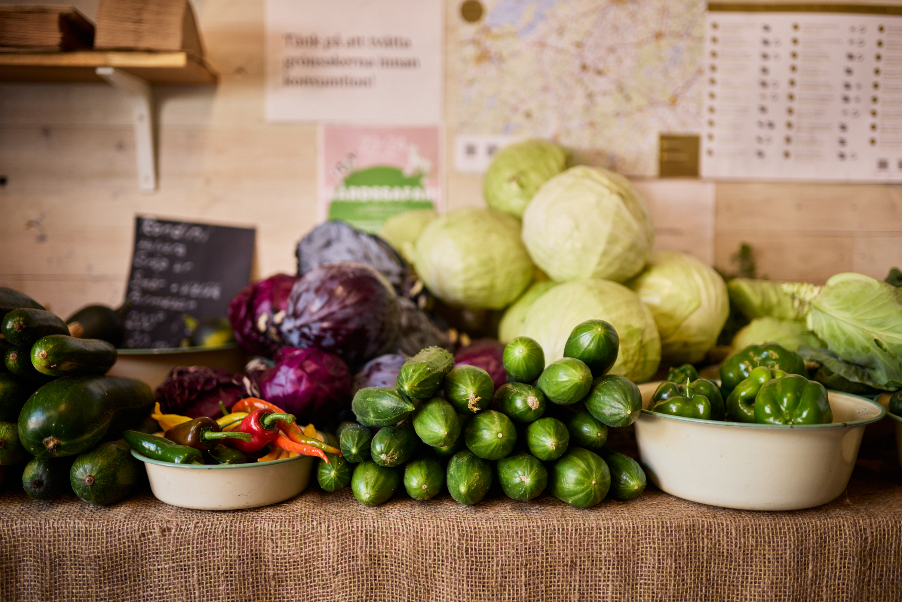 Vegetable growing on a farm.