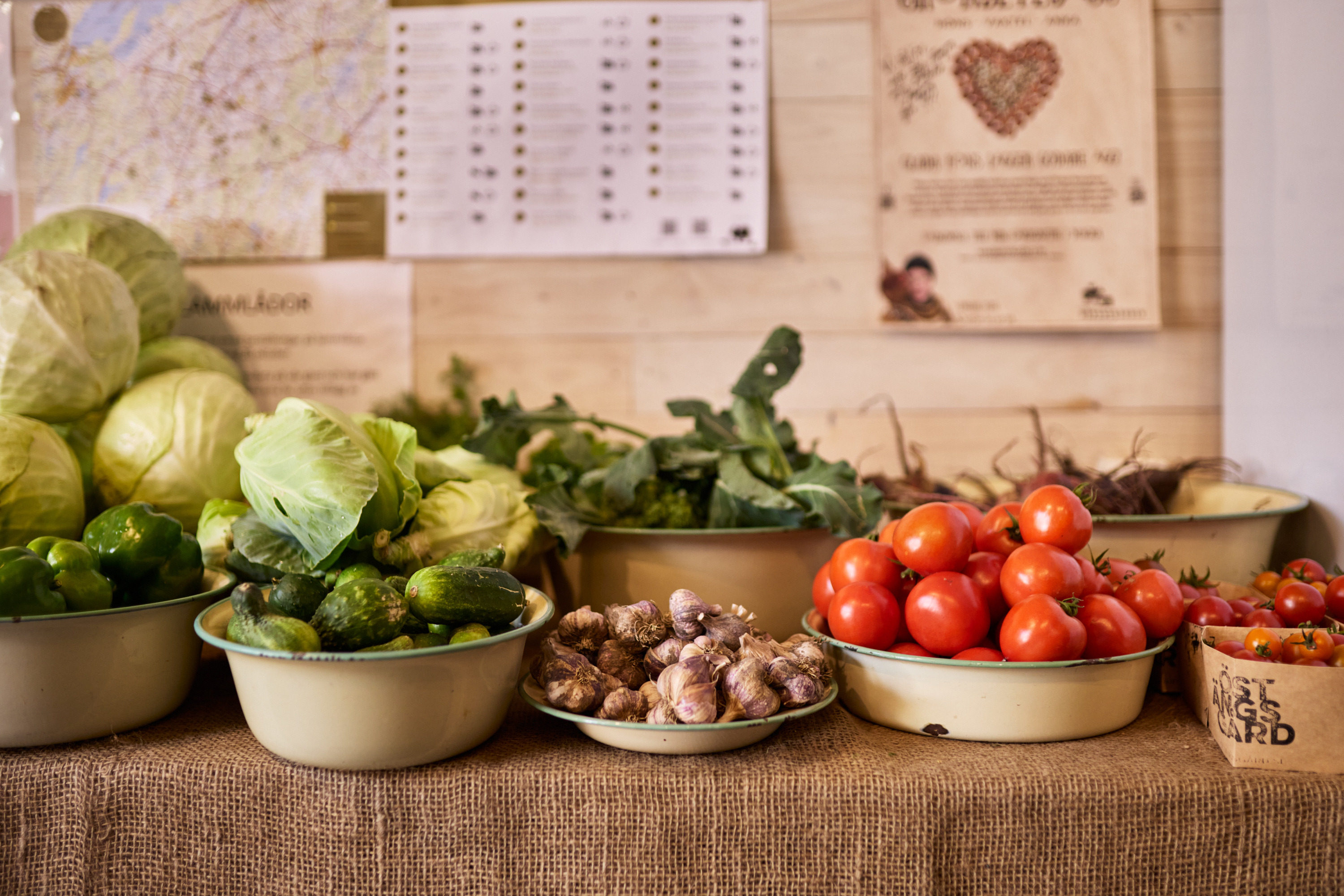 Vegetable growing on a farm.