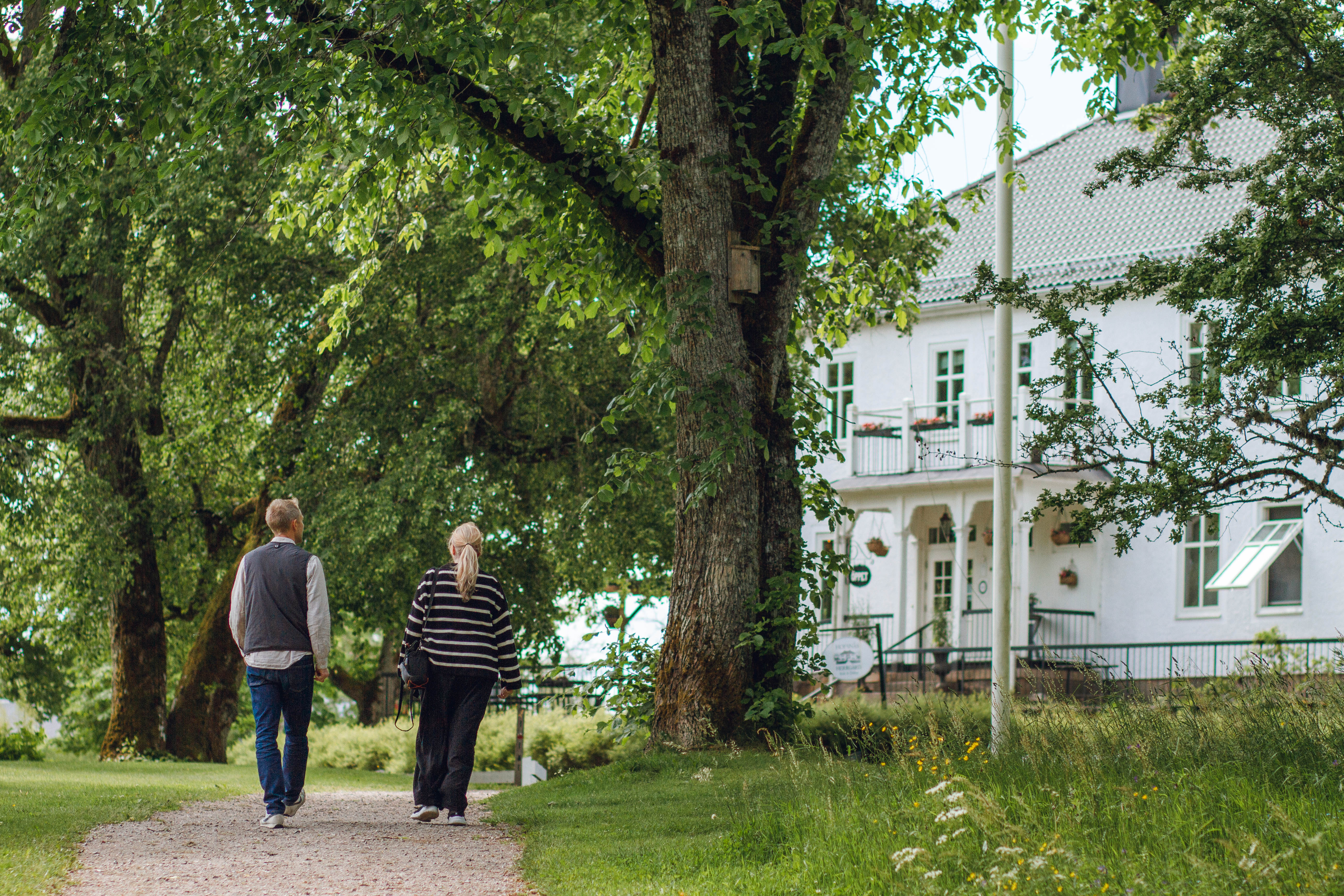 People walking in forest environment.