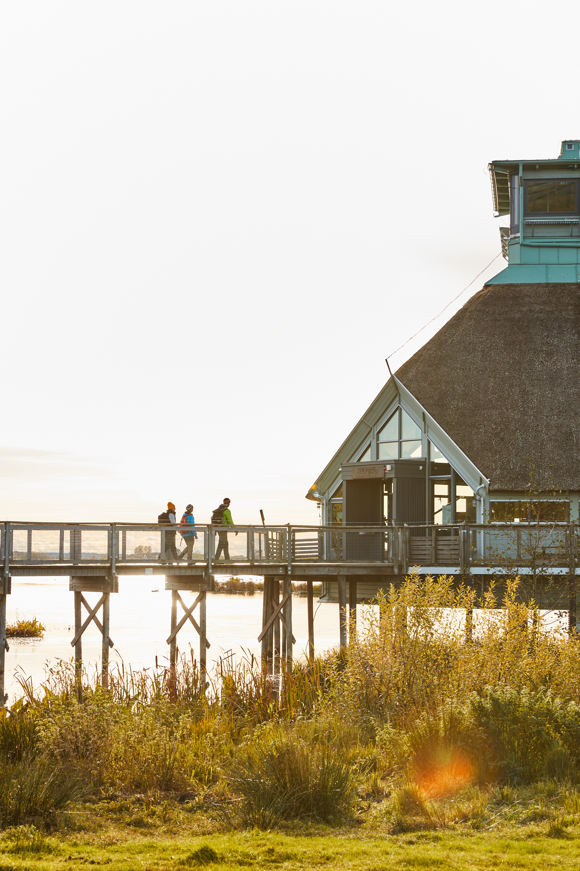 Hike at Horborgasjön