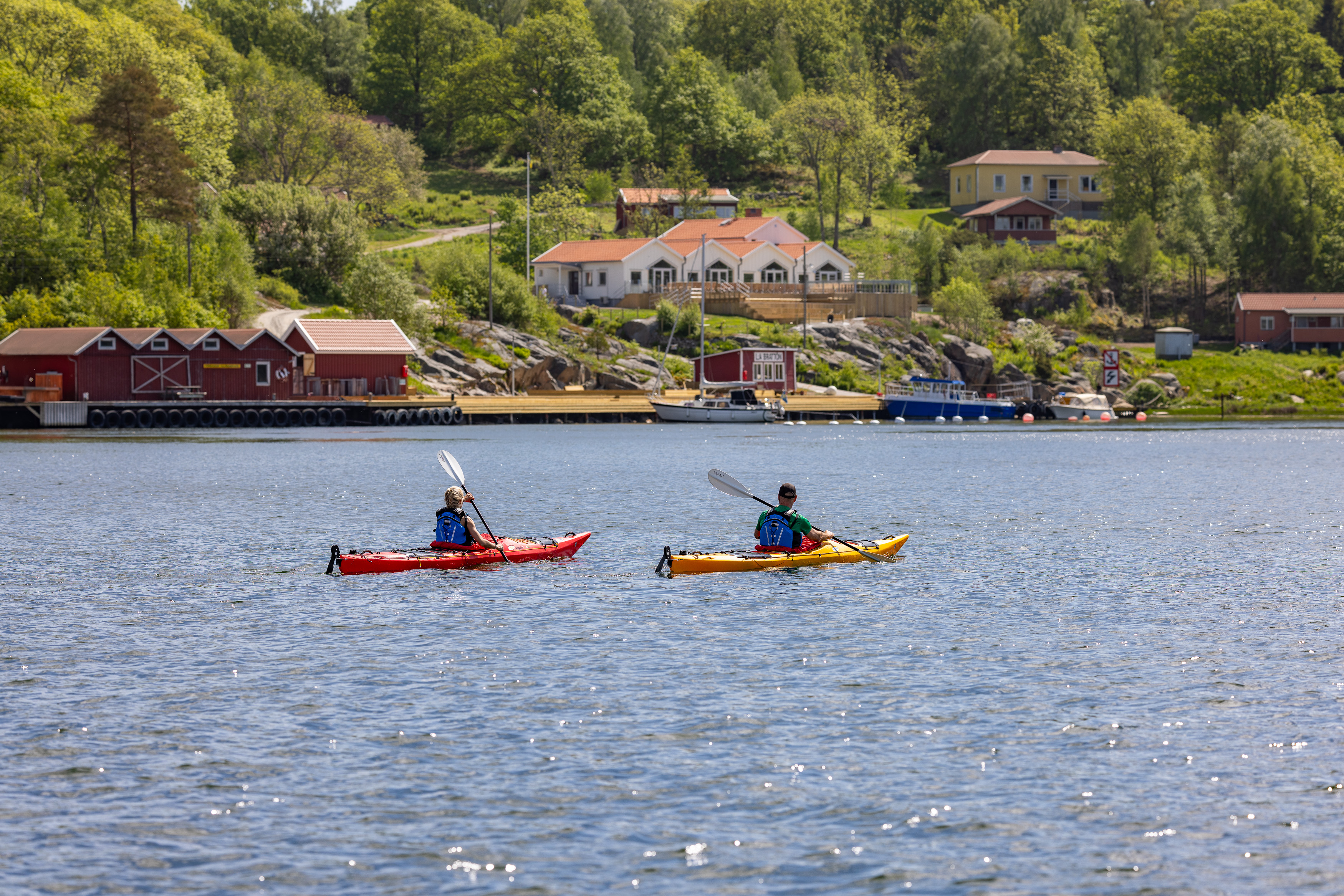 Kayakers on the sea.