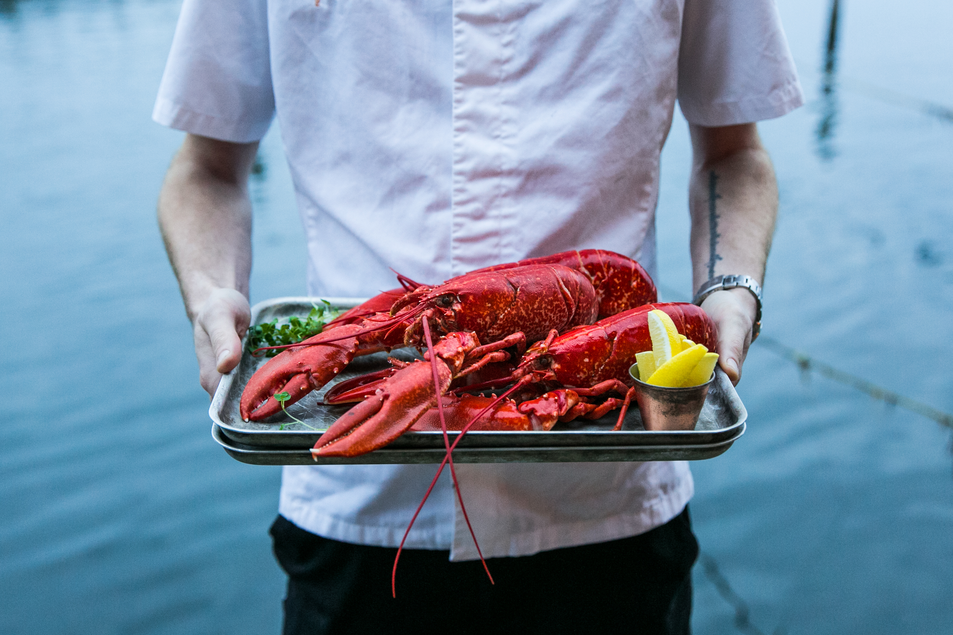 Lobster