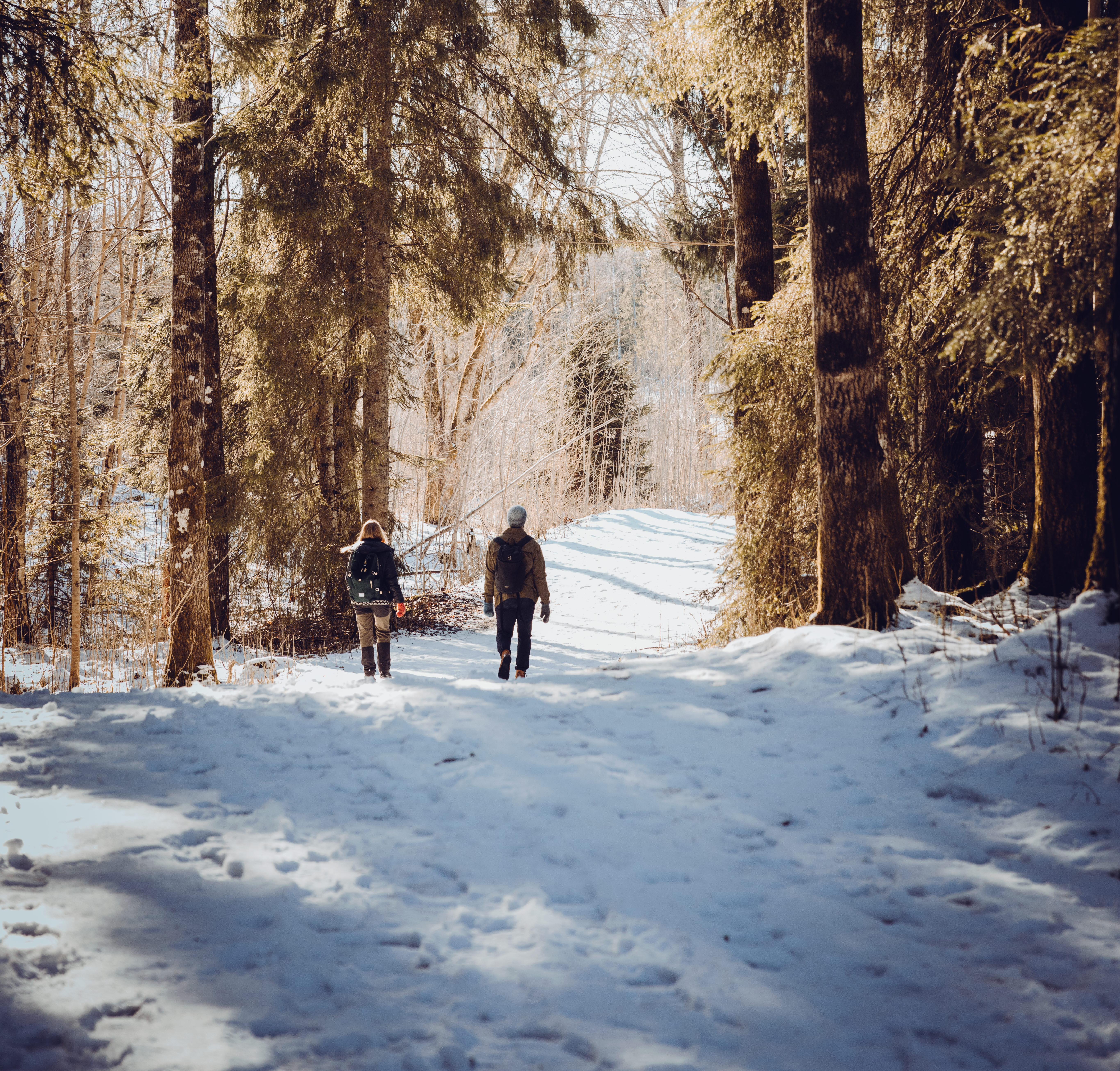 Friends walking in a winter landscape in West Sweden.
