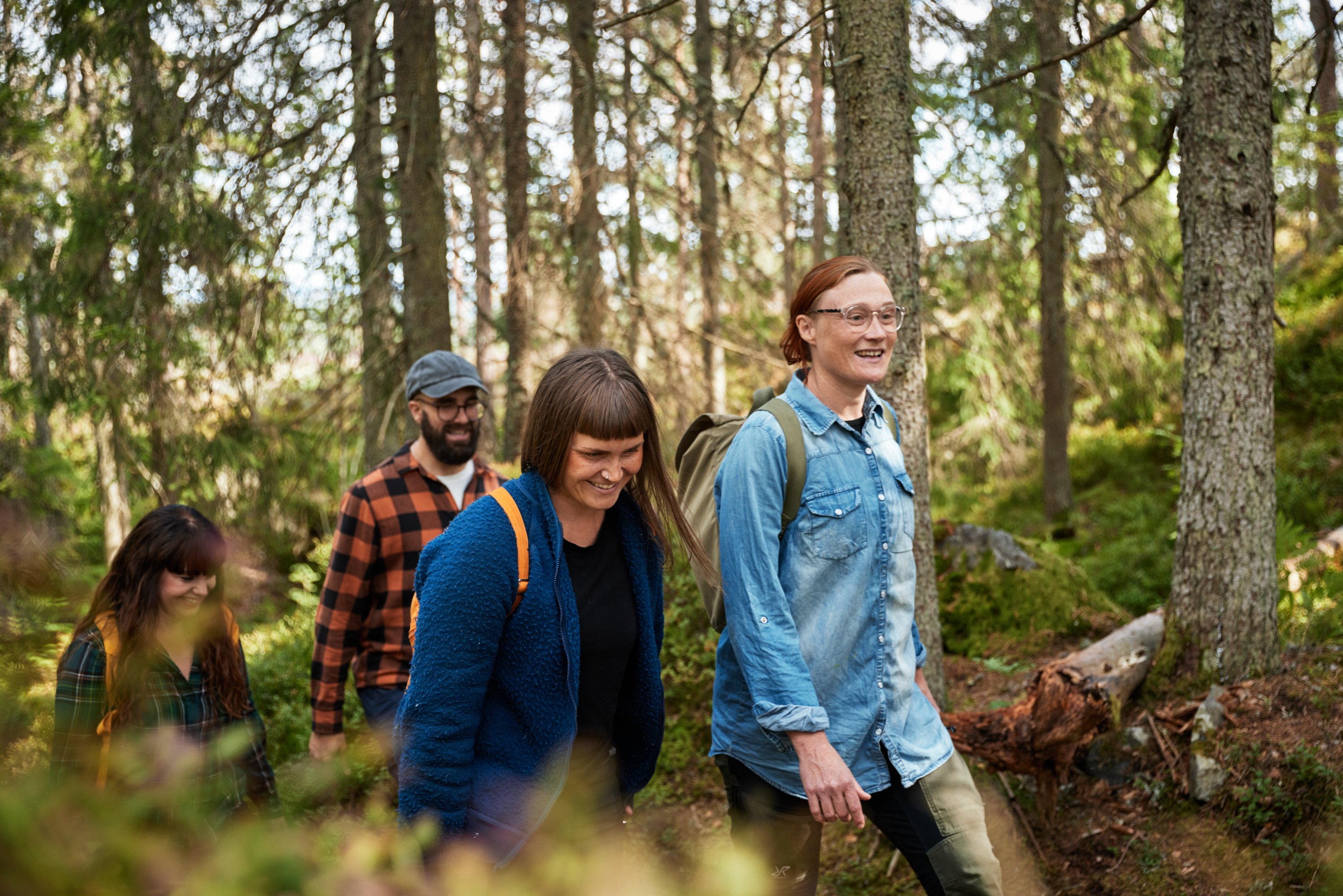 Walk at Kroppefjäll