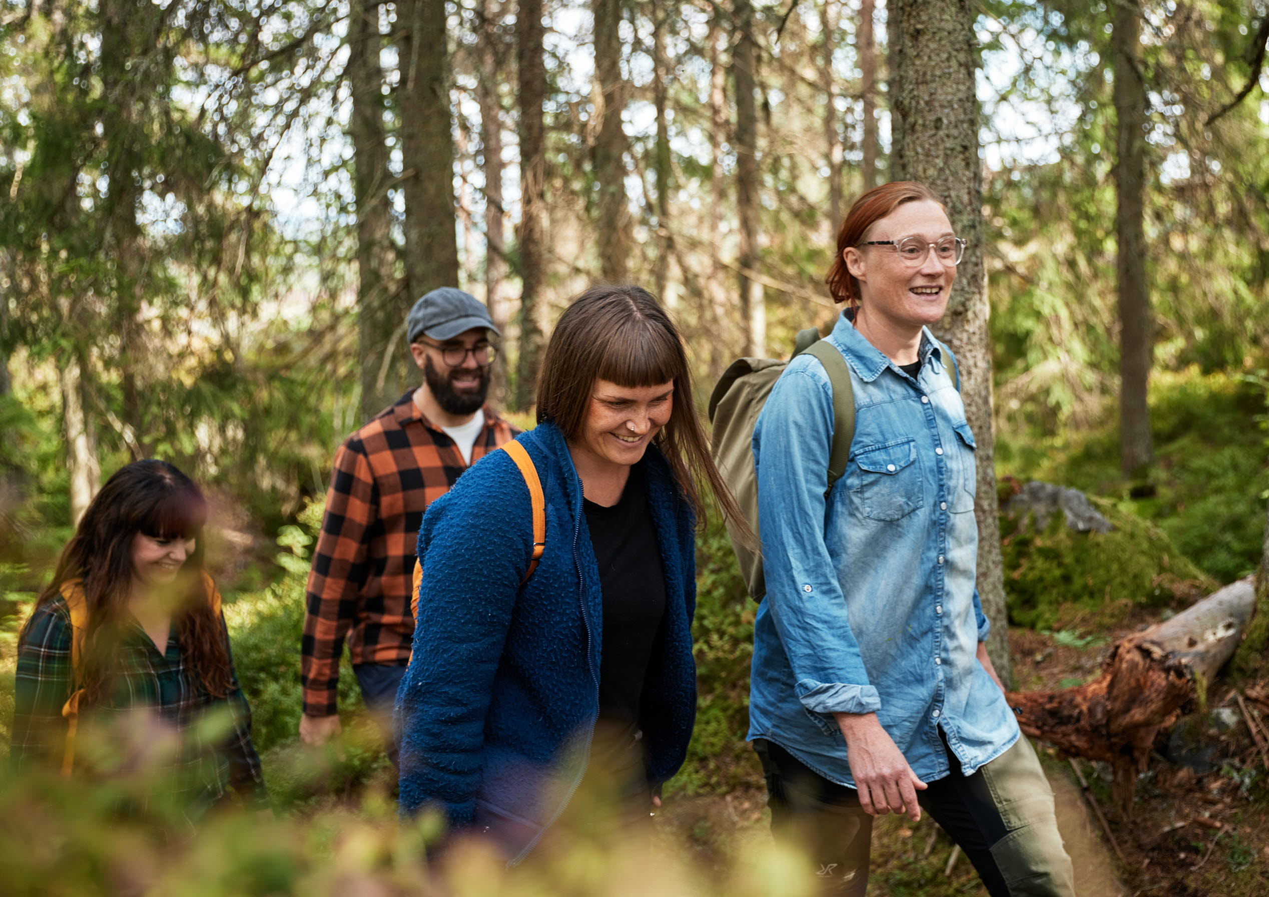 Walk at Kroppefjäll