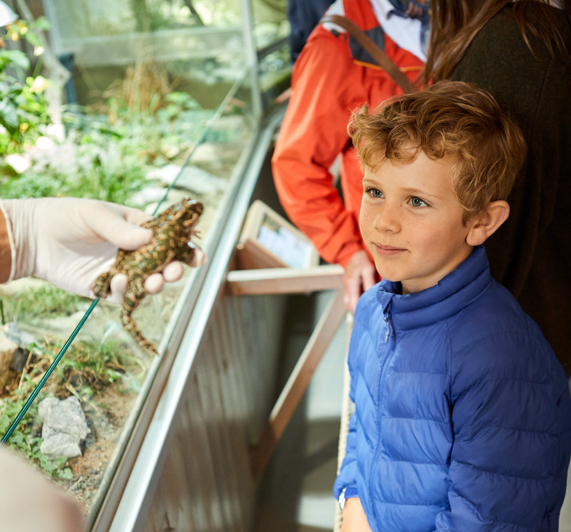 People watching animals at Nordens Ark