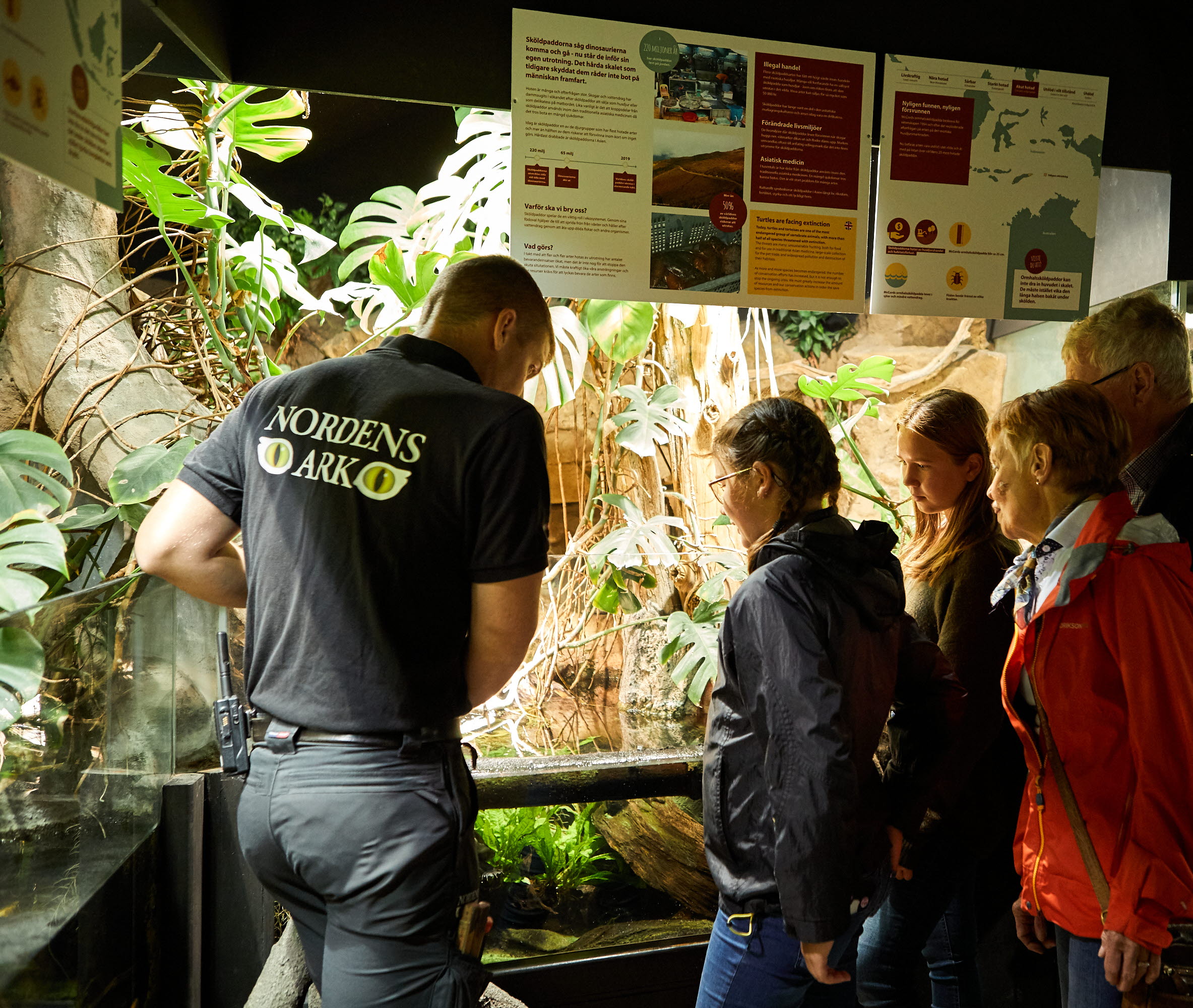 People watching animals at Nordens Ark