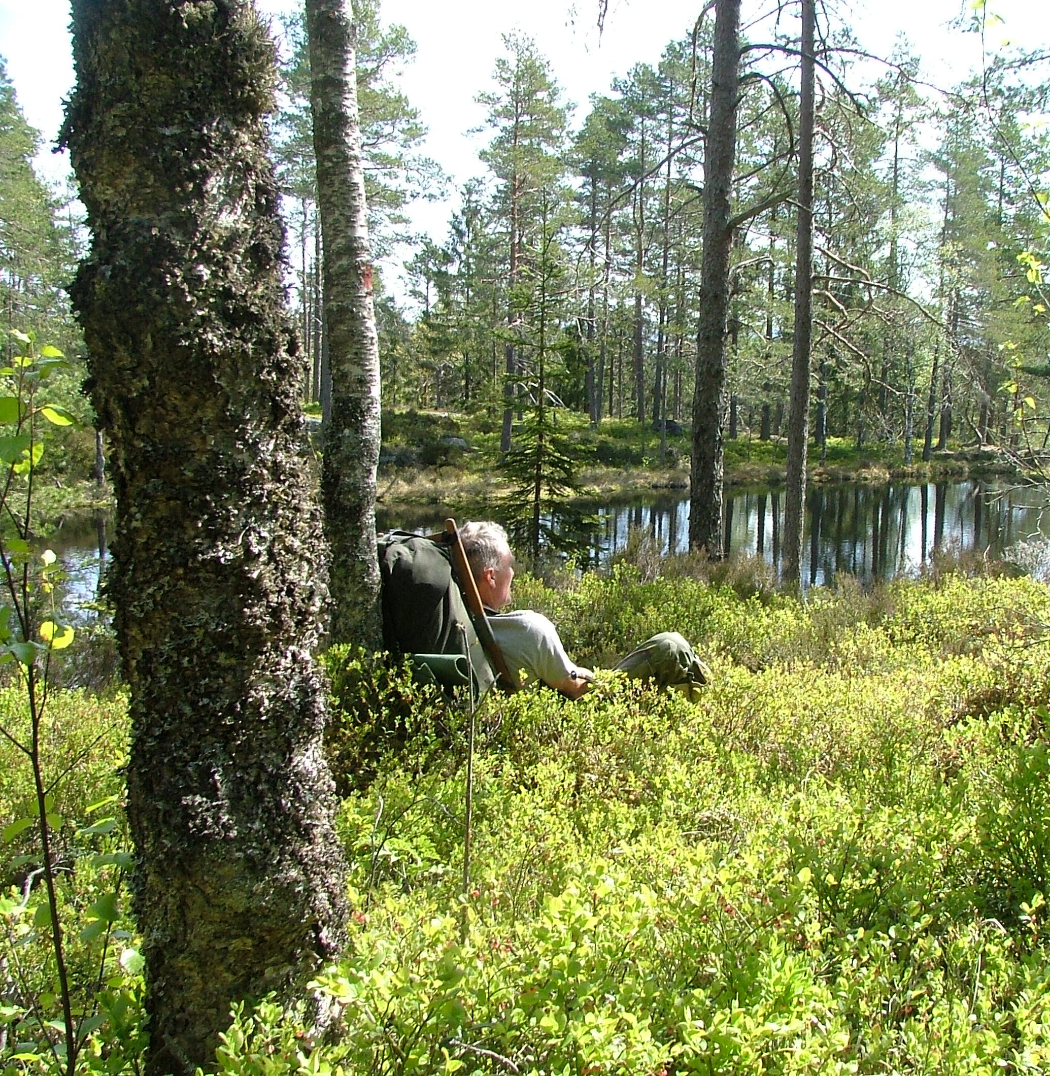 Swedish Fika in Alingsås