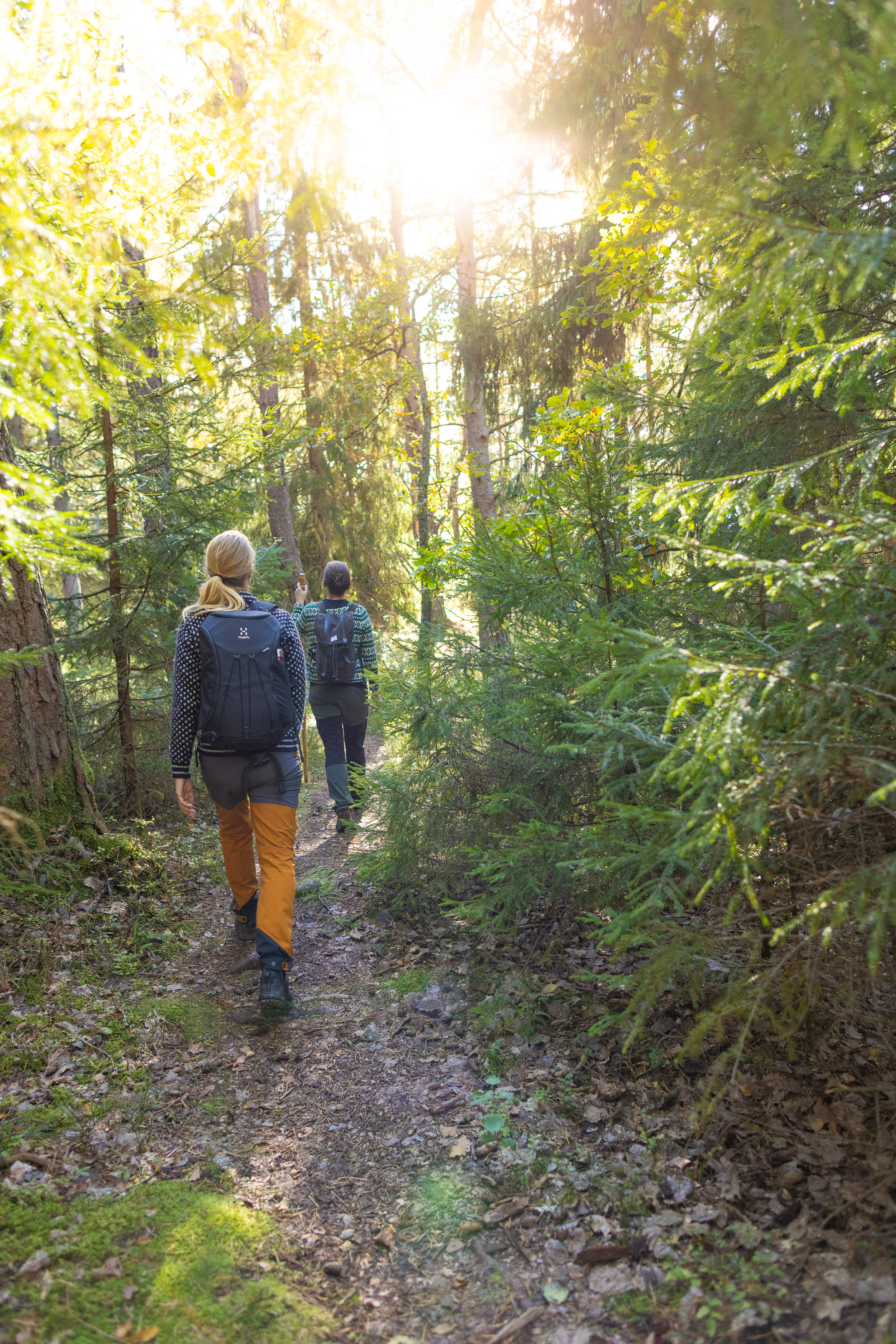 Hike along Pilgrim path