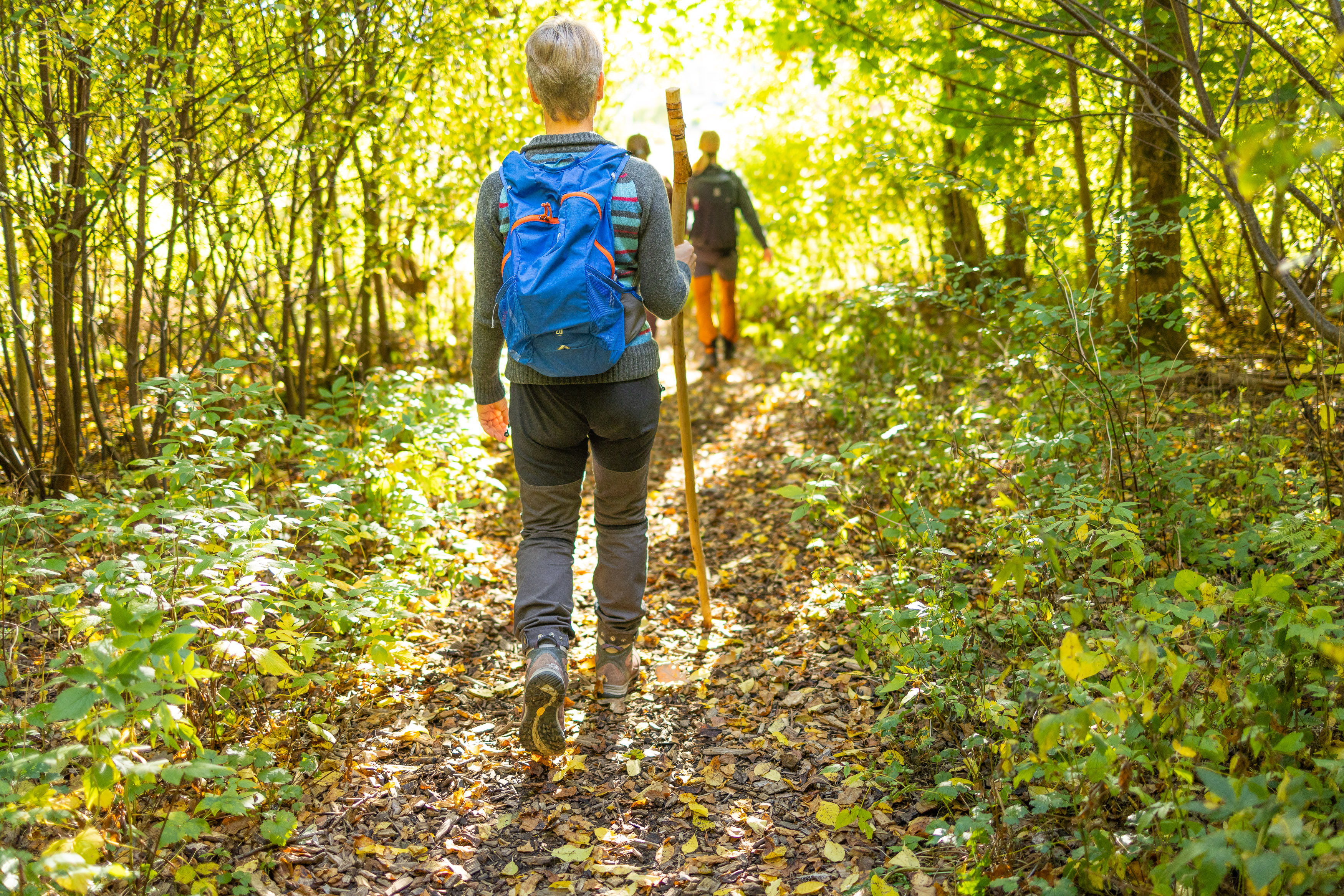 Hike along Pilgrim path