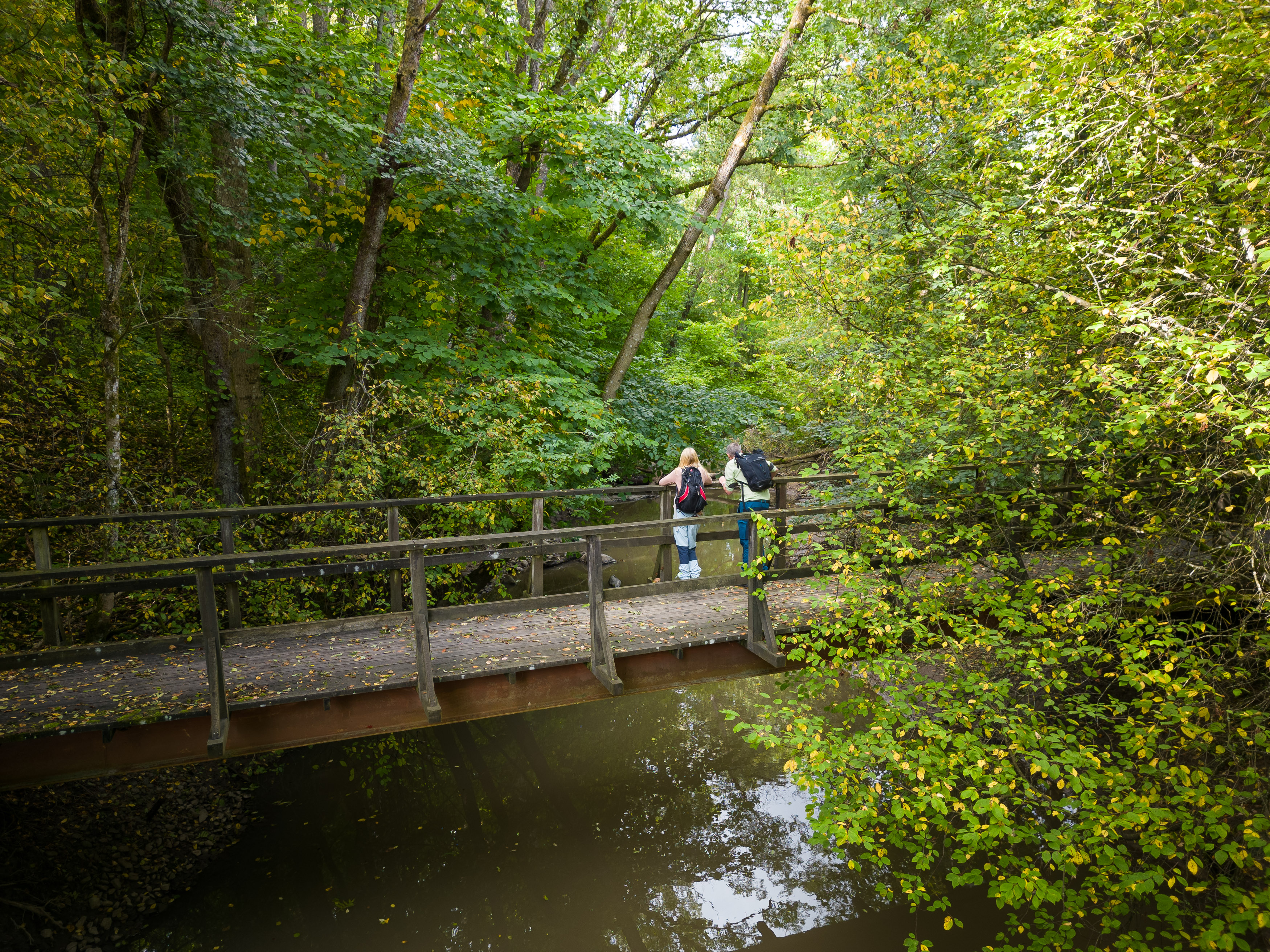 Drone image over Lärjeån