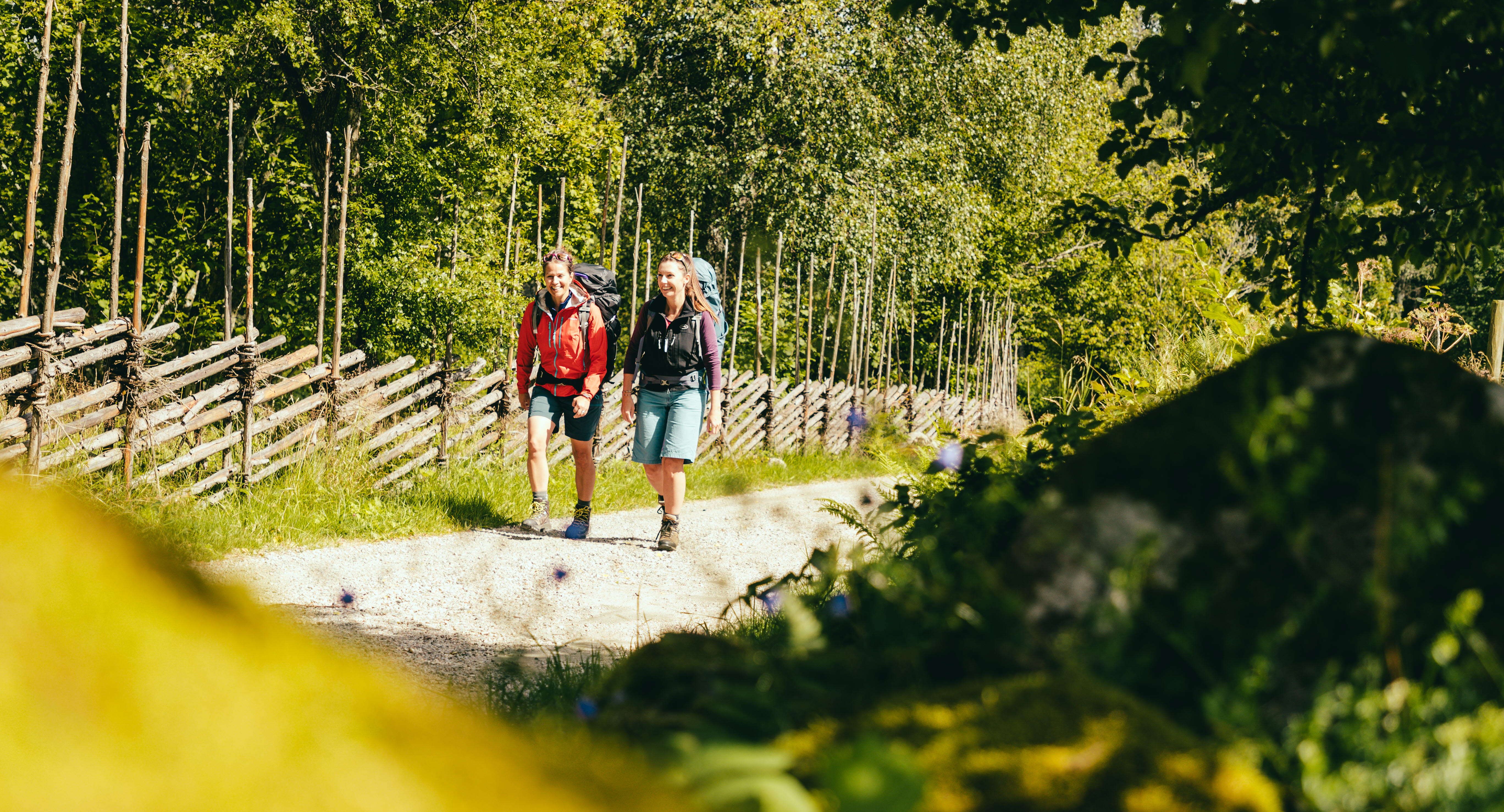 Hike at Sjuhäradsleden