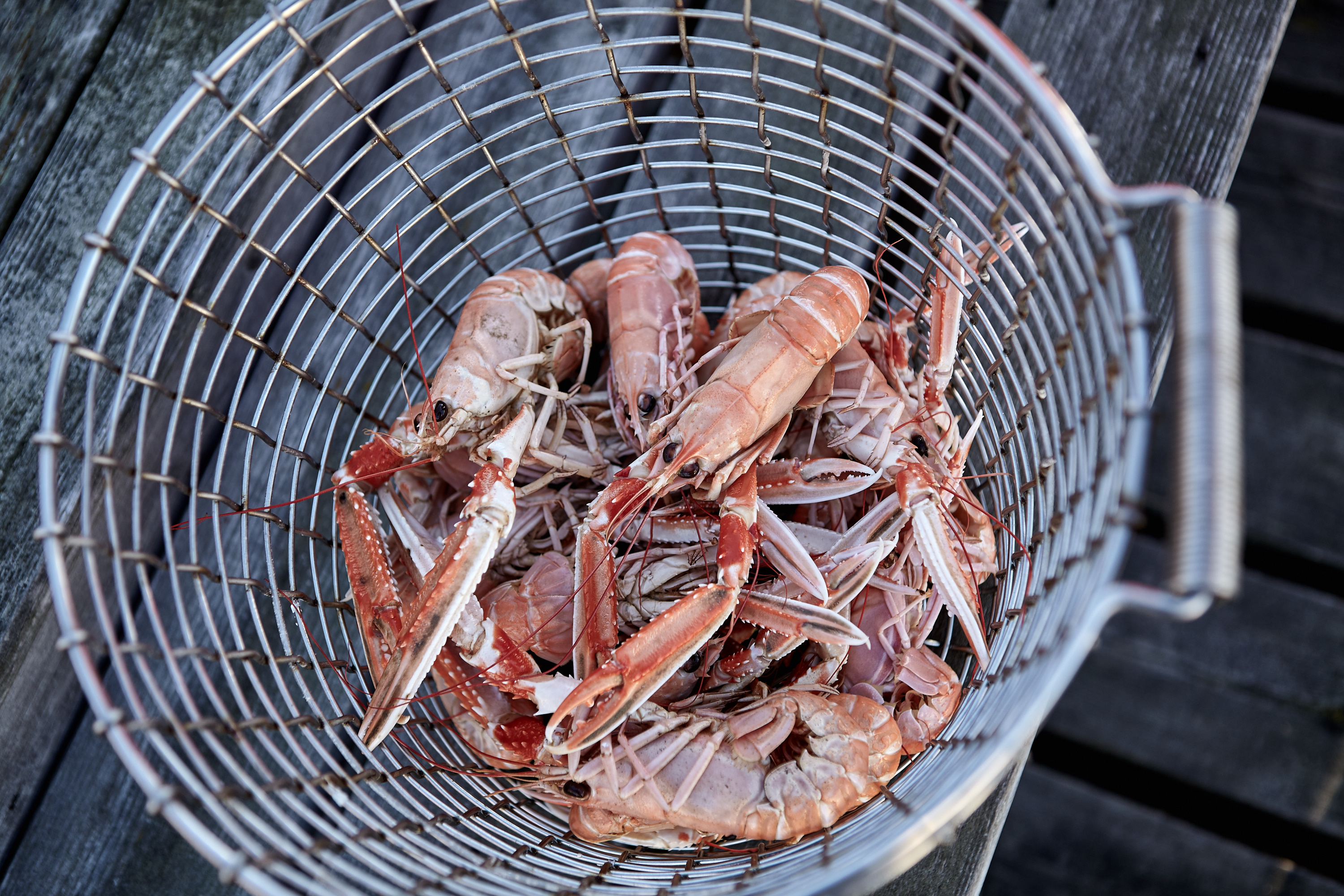 Steel braided basket with freshly cooked crayfish within