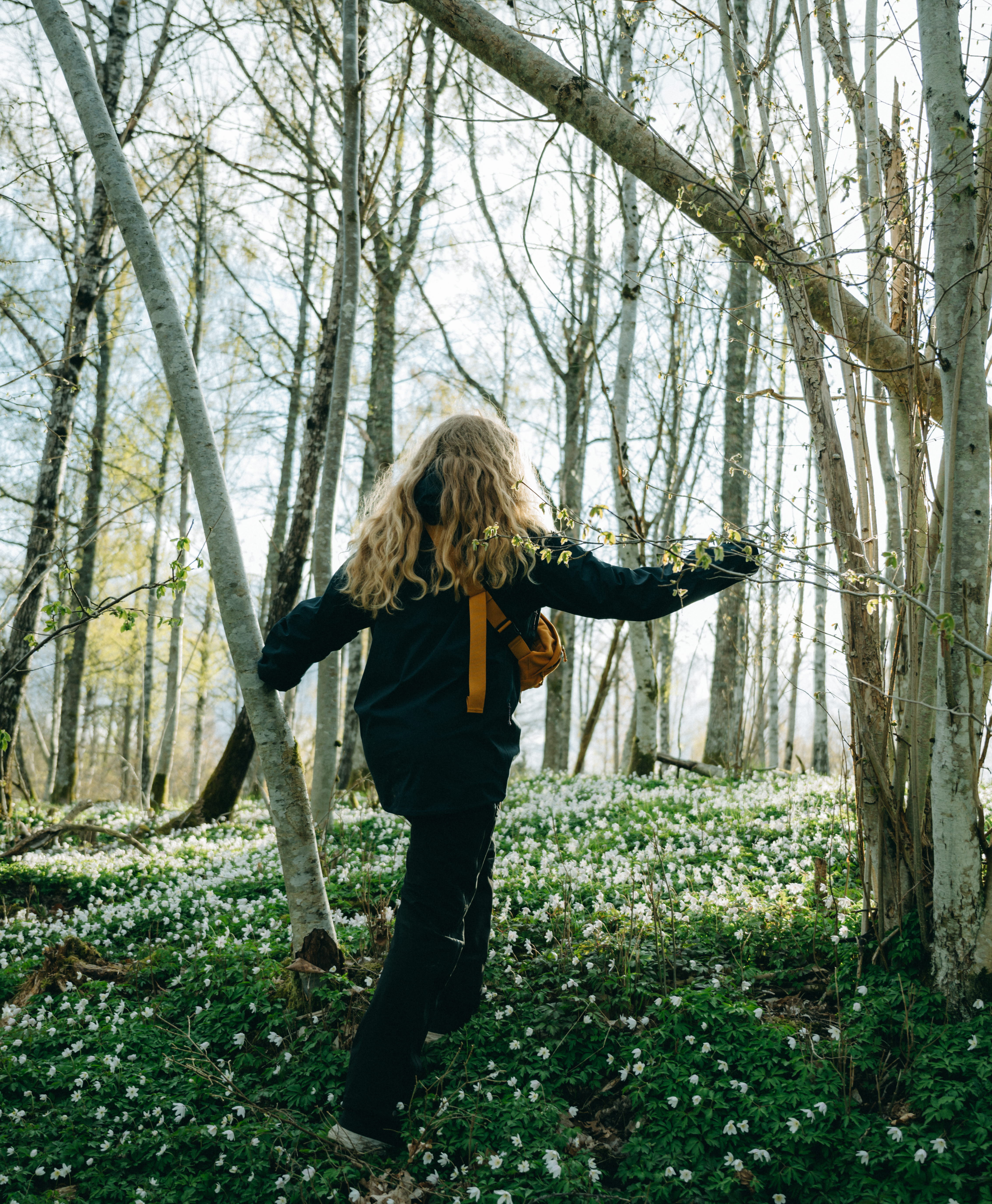 Svankila Natur reserve