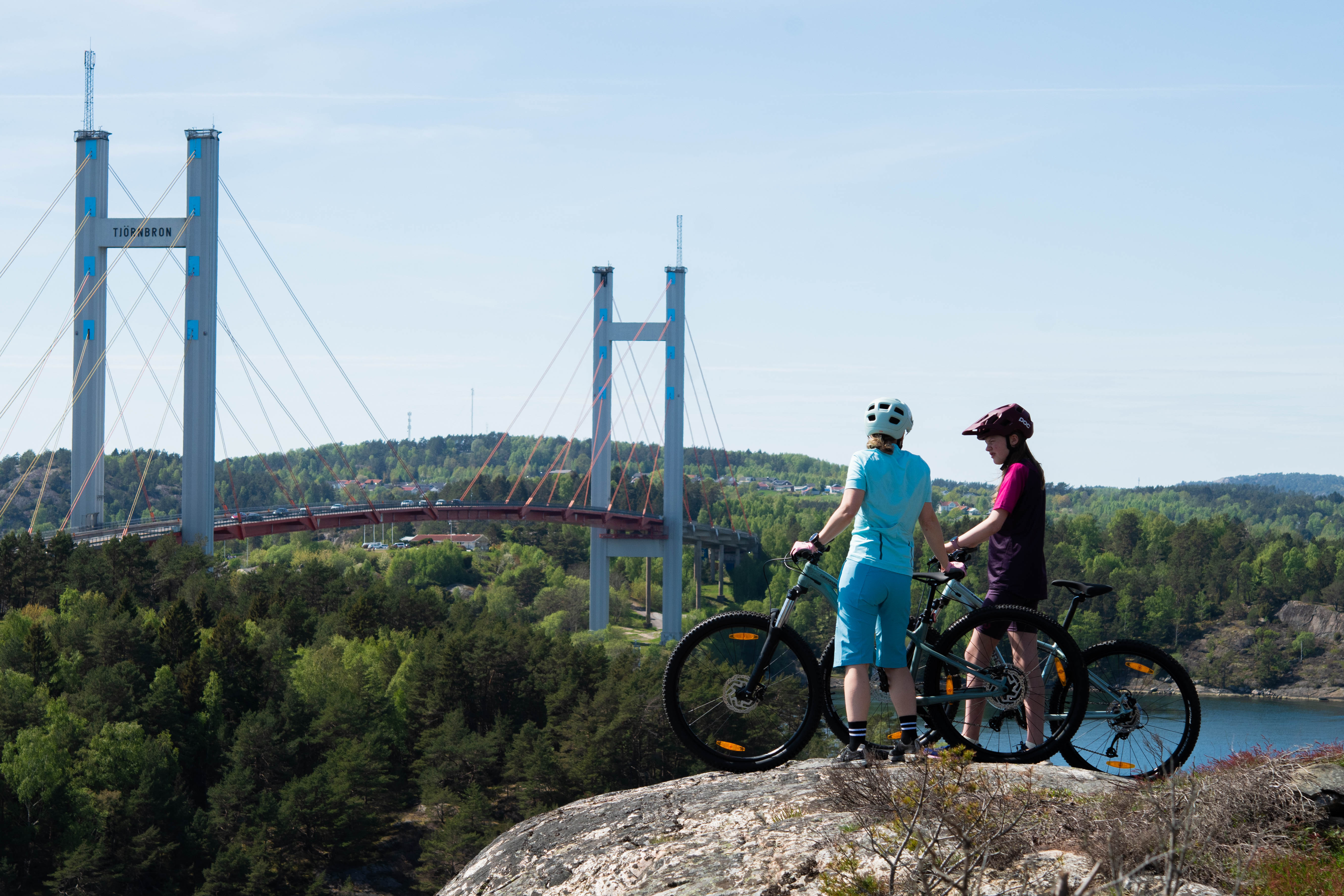 Family bikes on cliffs.