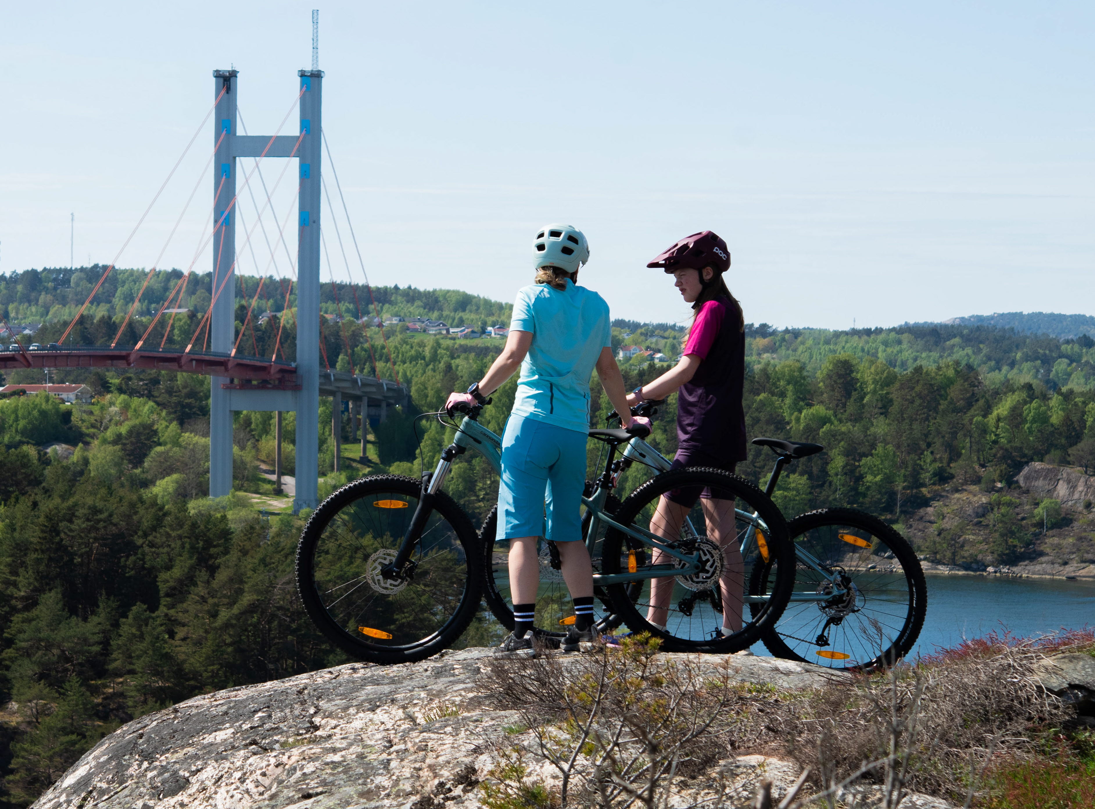 Family bikes on cliffs.