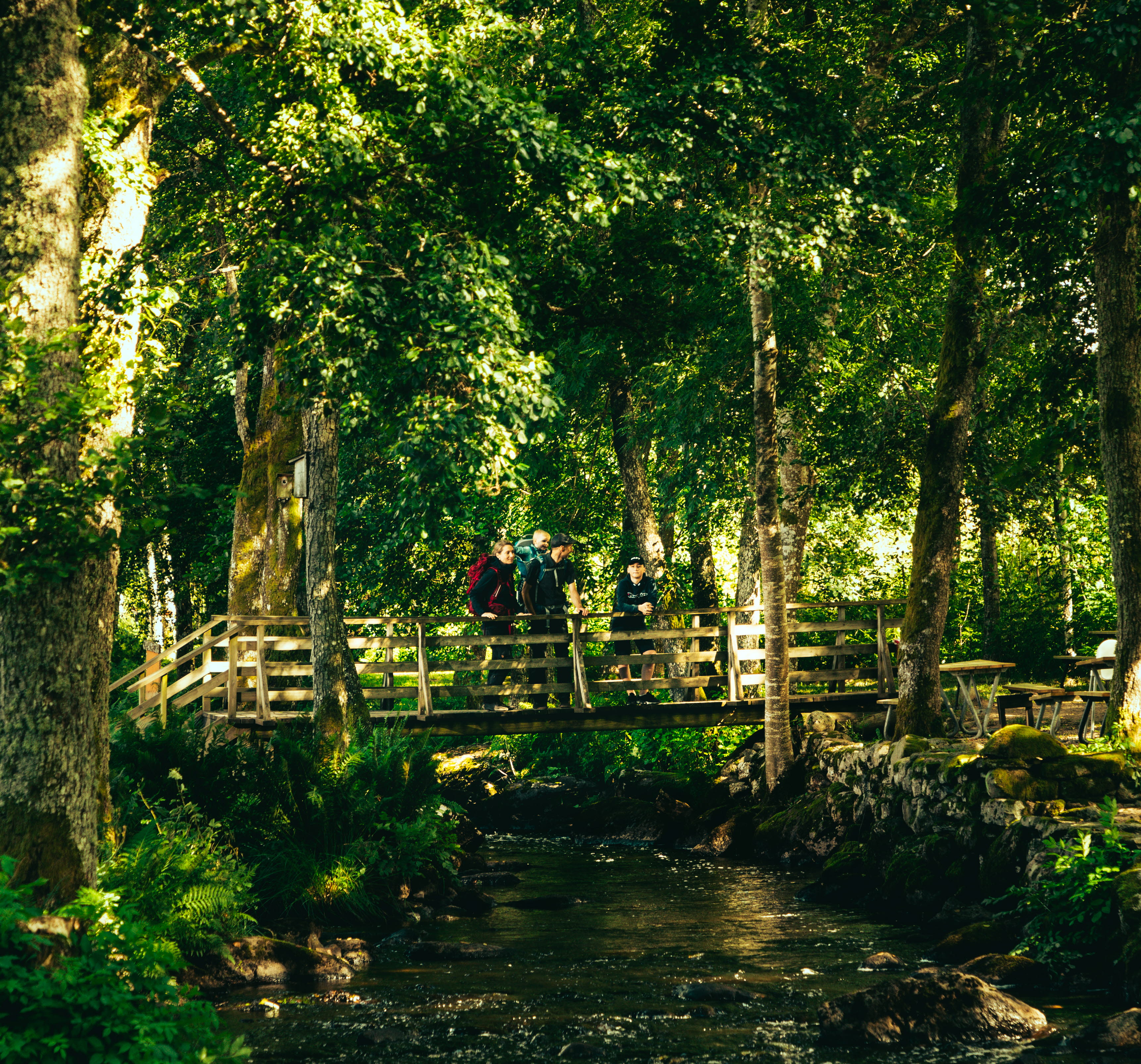 Family at Vänga Mosse