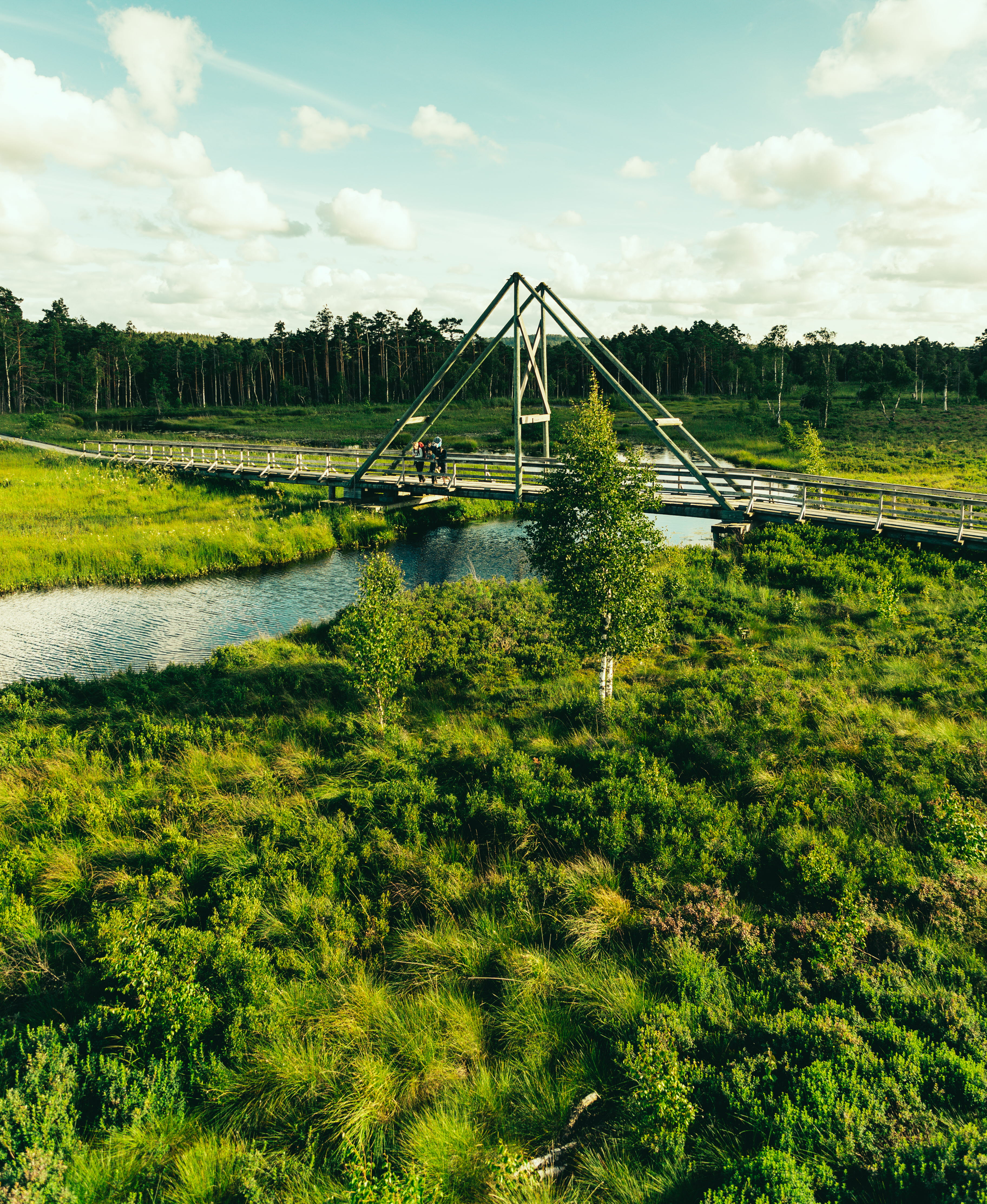 Family at Vänga Mosse