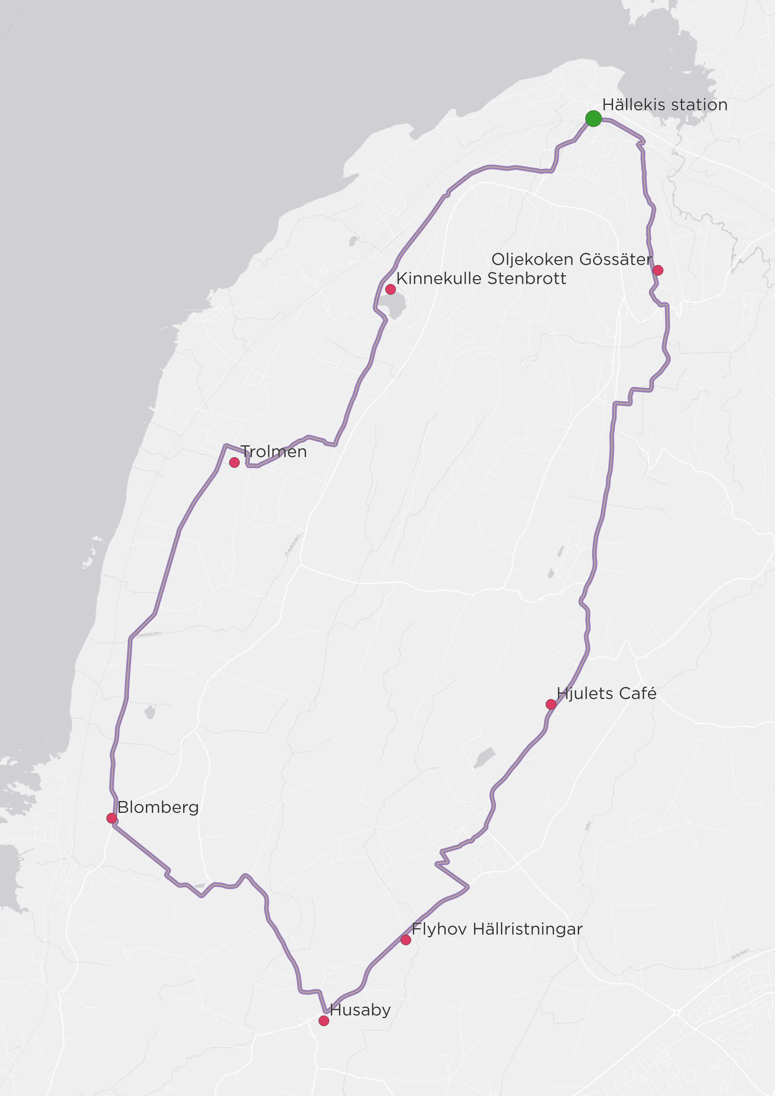 Group of people cycling MTB in Billingen.