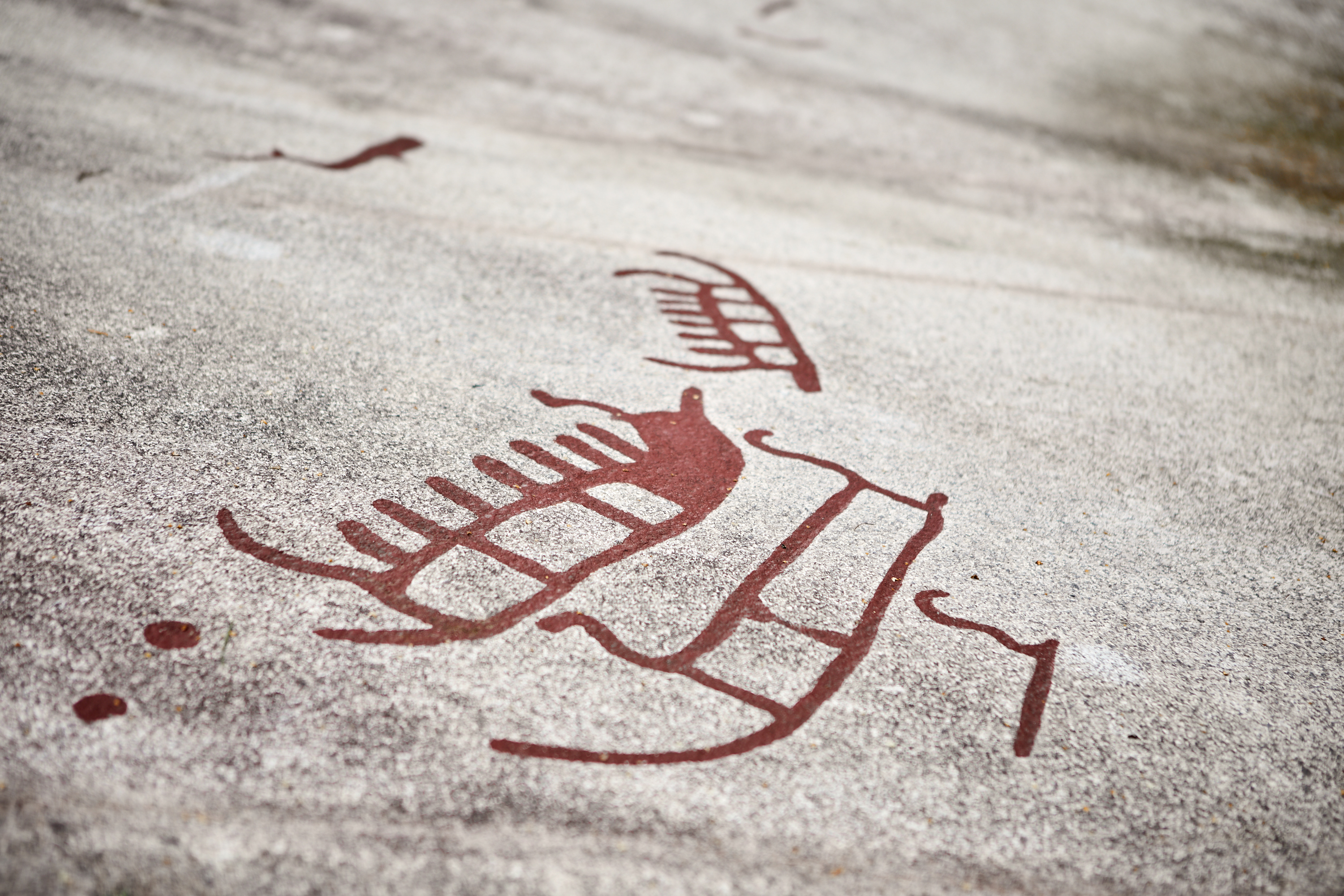 Kids at Vitlycke Museum