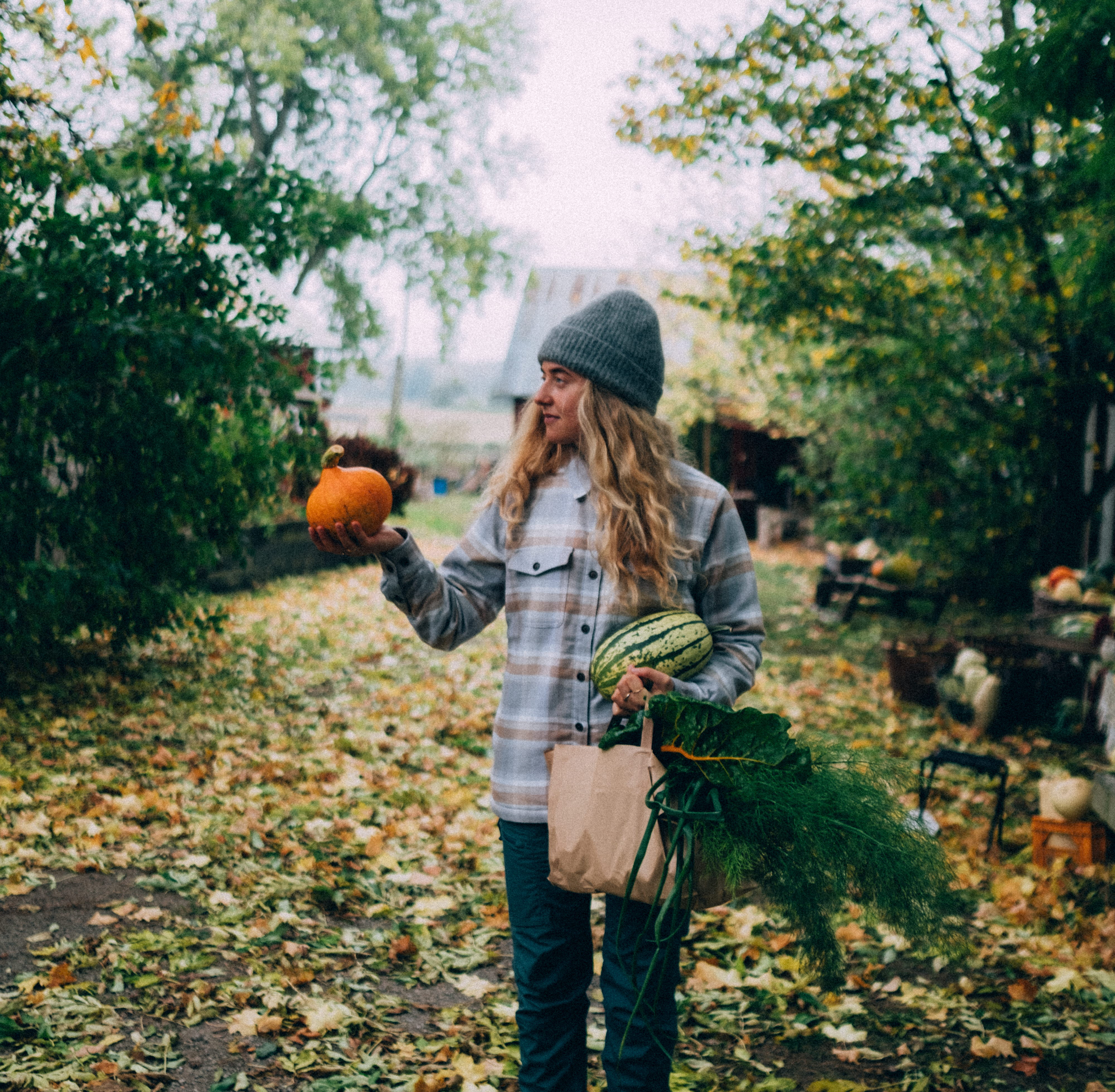 Wardins Trädgårdar