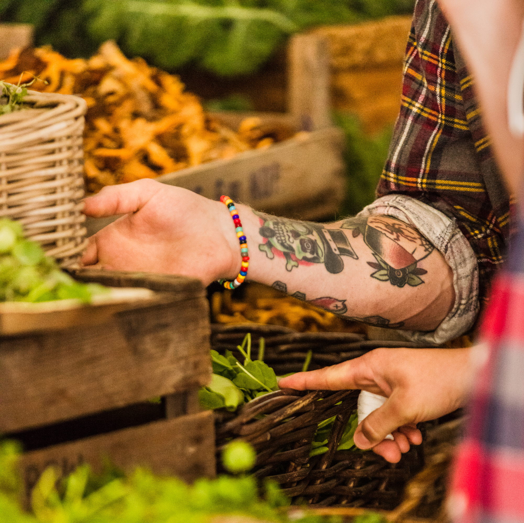 vegetables in baskets