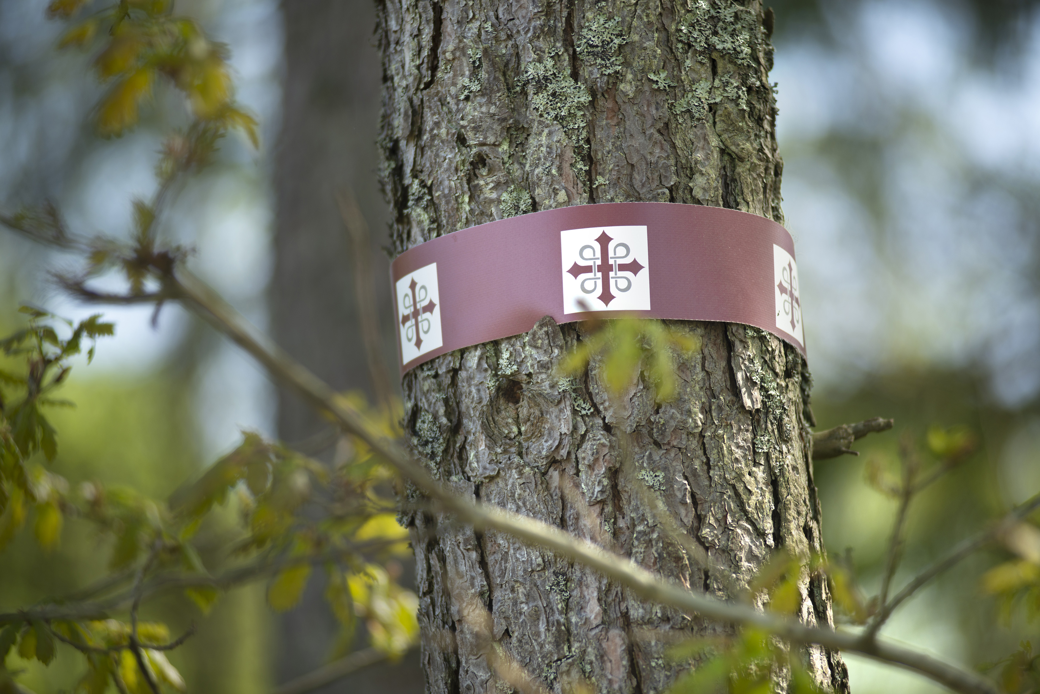 Woman in a flower shop