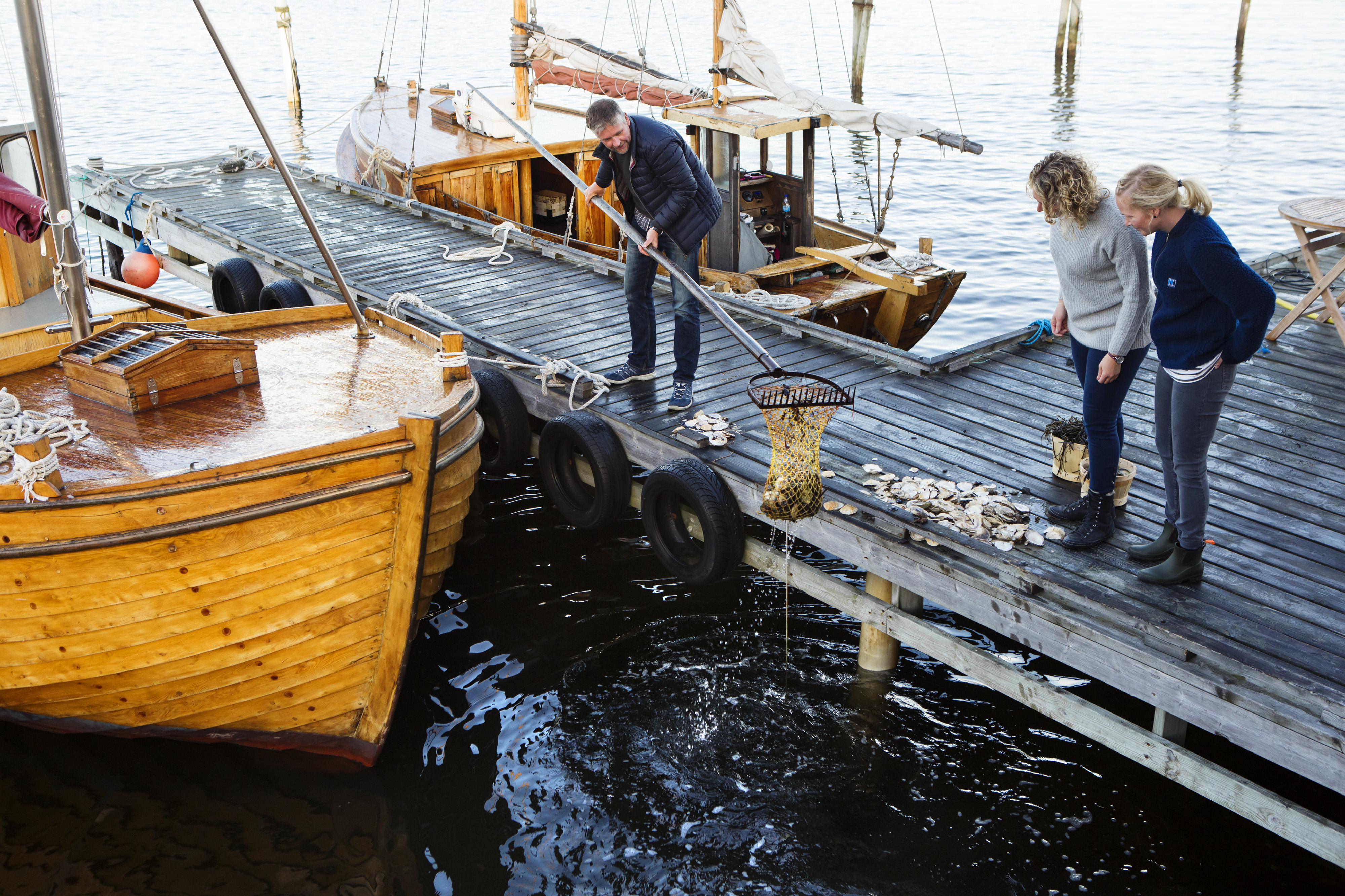 Fishing for oysters in Grebbestad