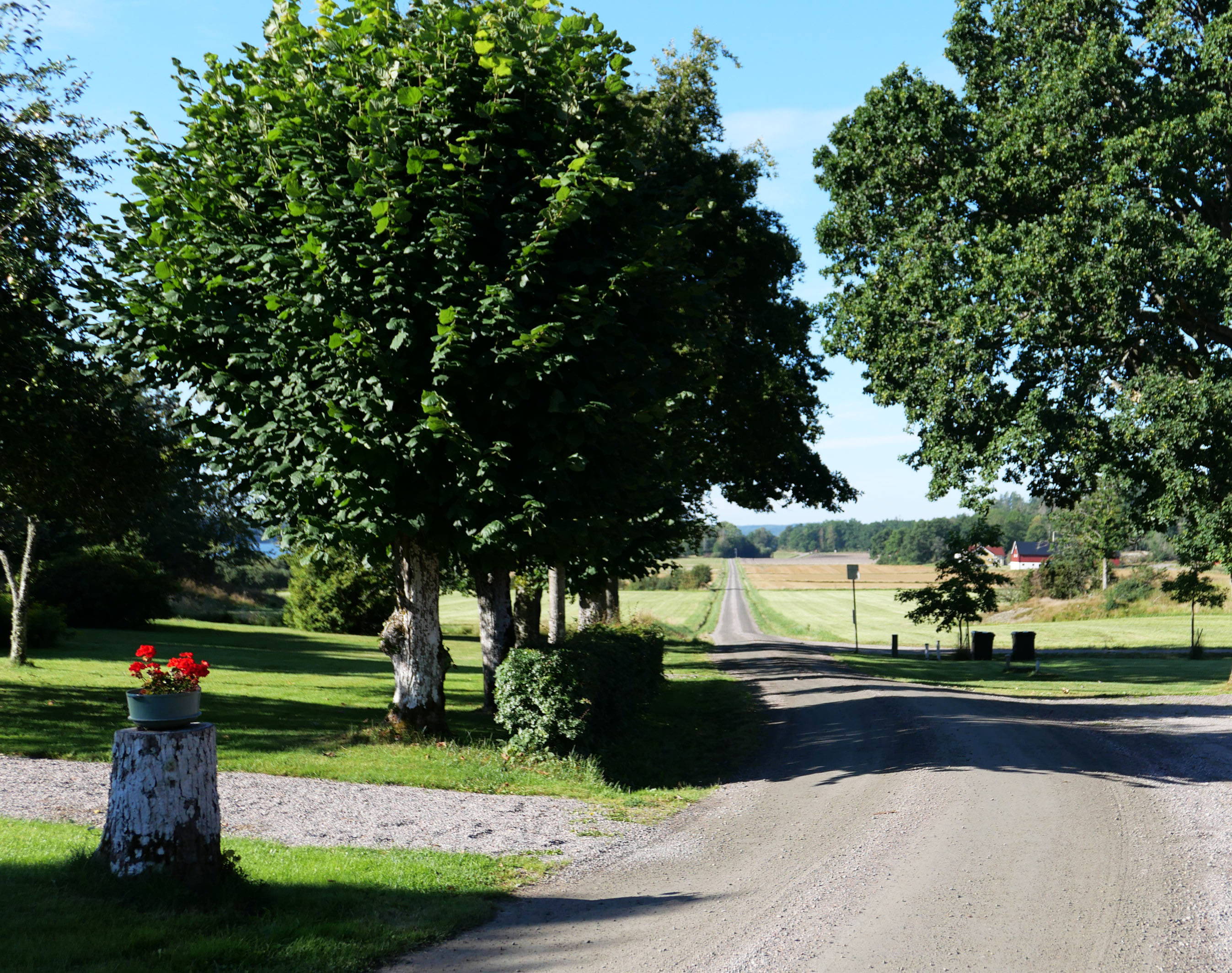A beautiful gravel road