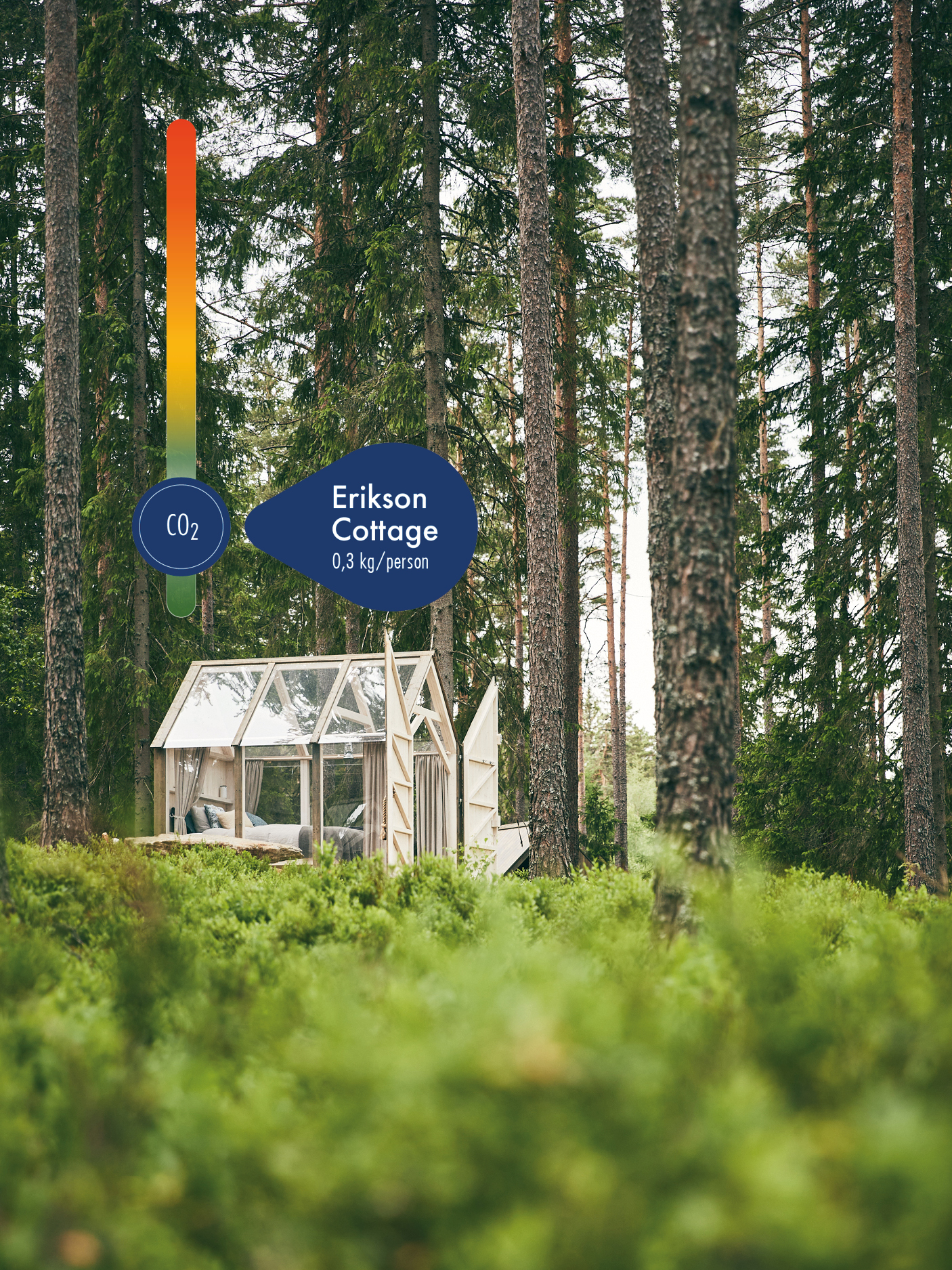 Glass cabins in the woods.