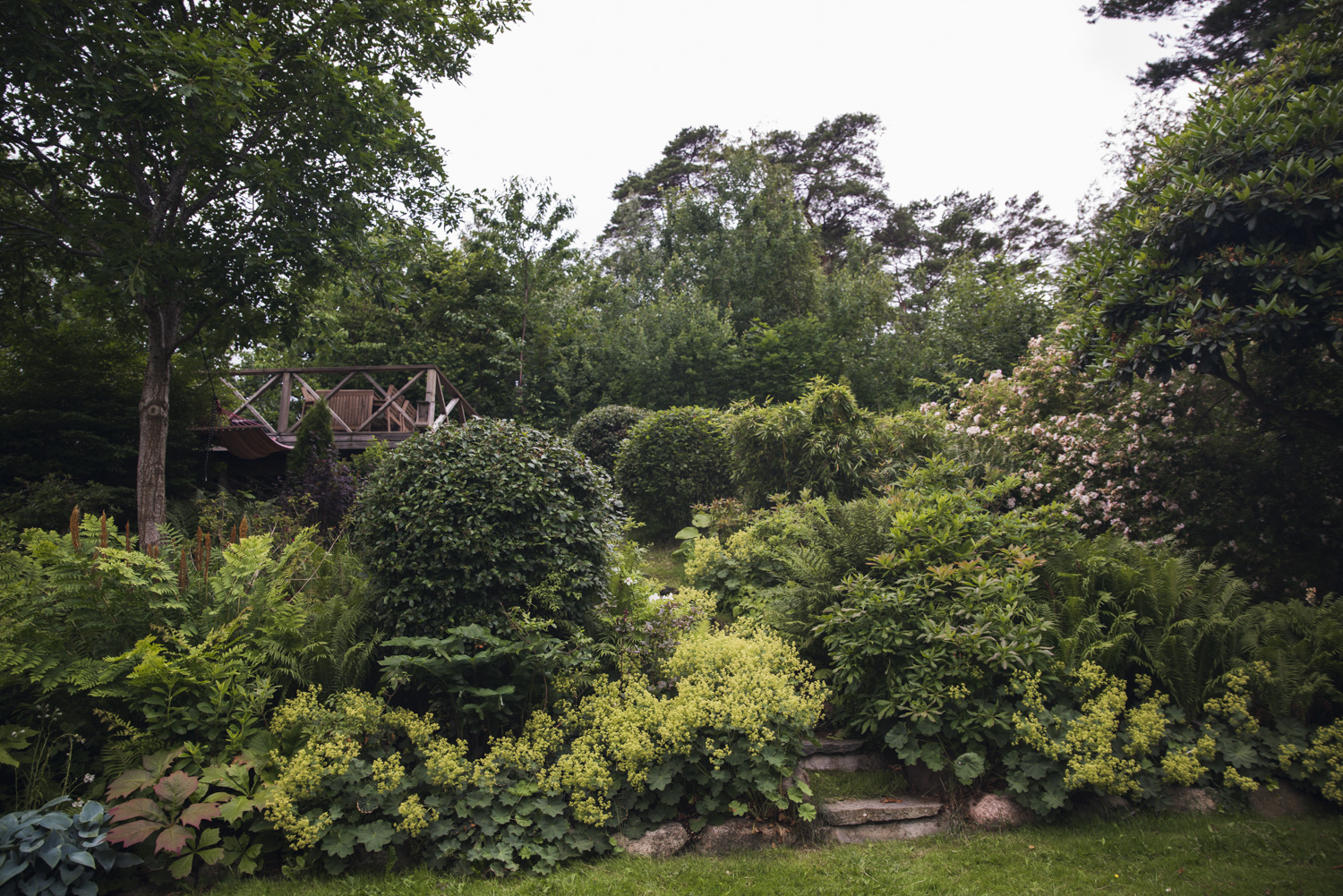 Garden with flowers and trees.