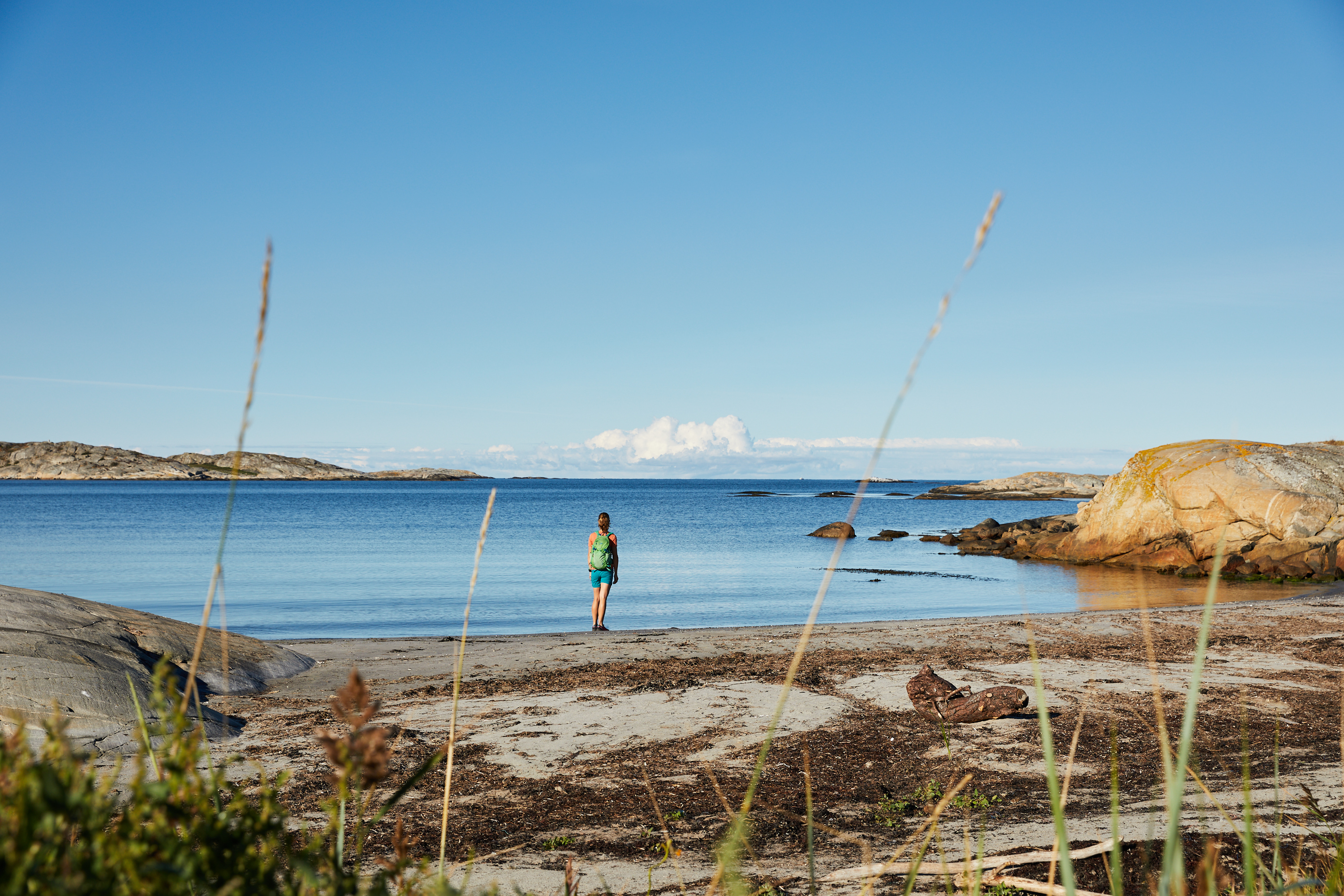 Hiker standing on a beach.