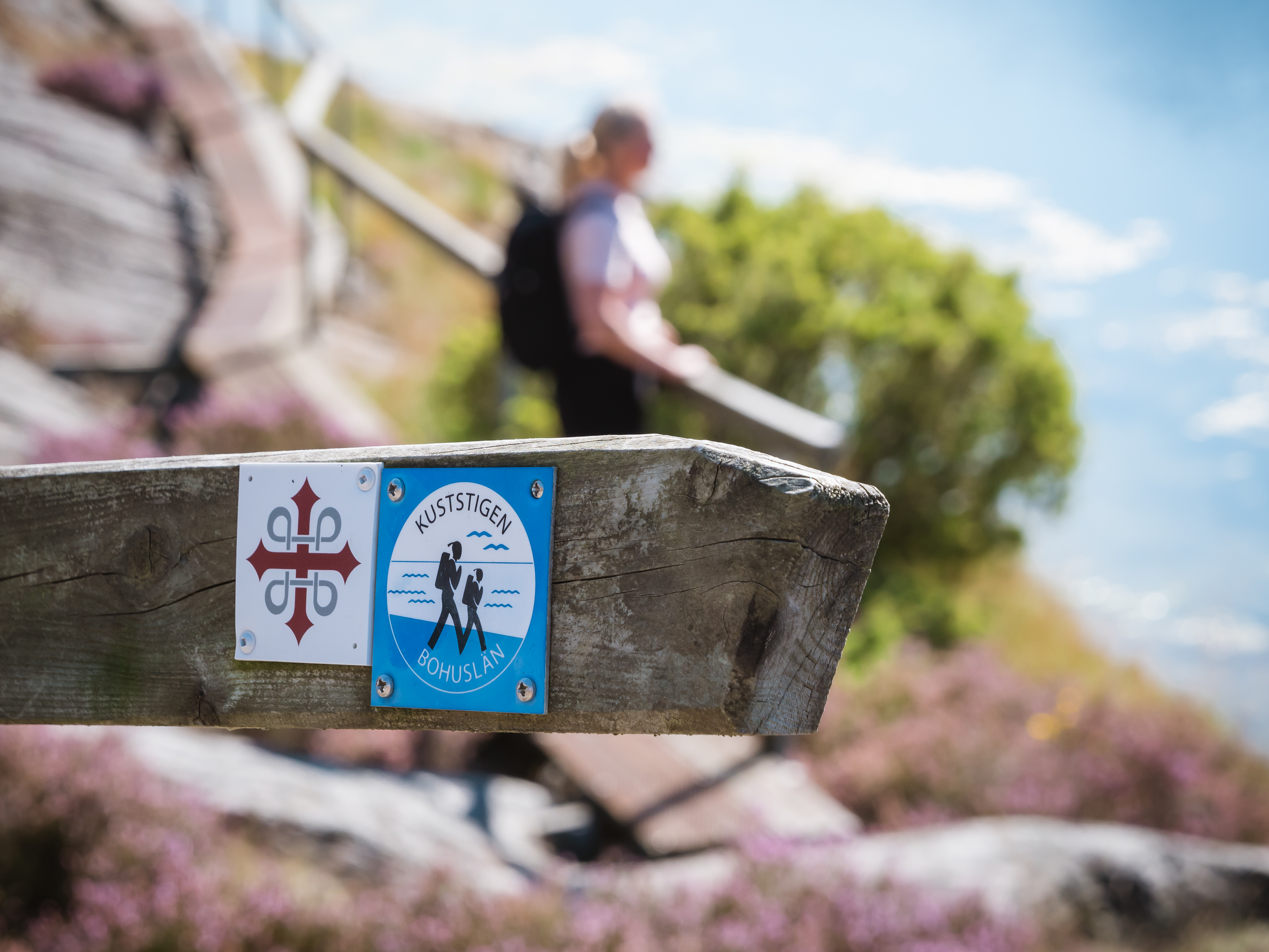 Coastal environment with rocks, blue sky and hikers.