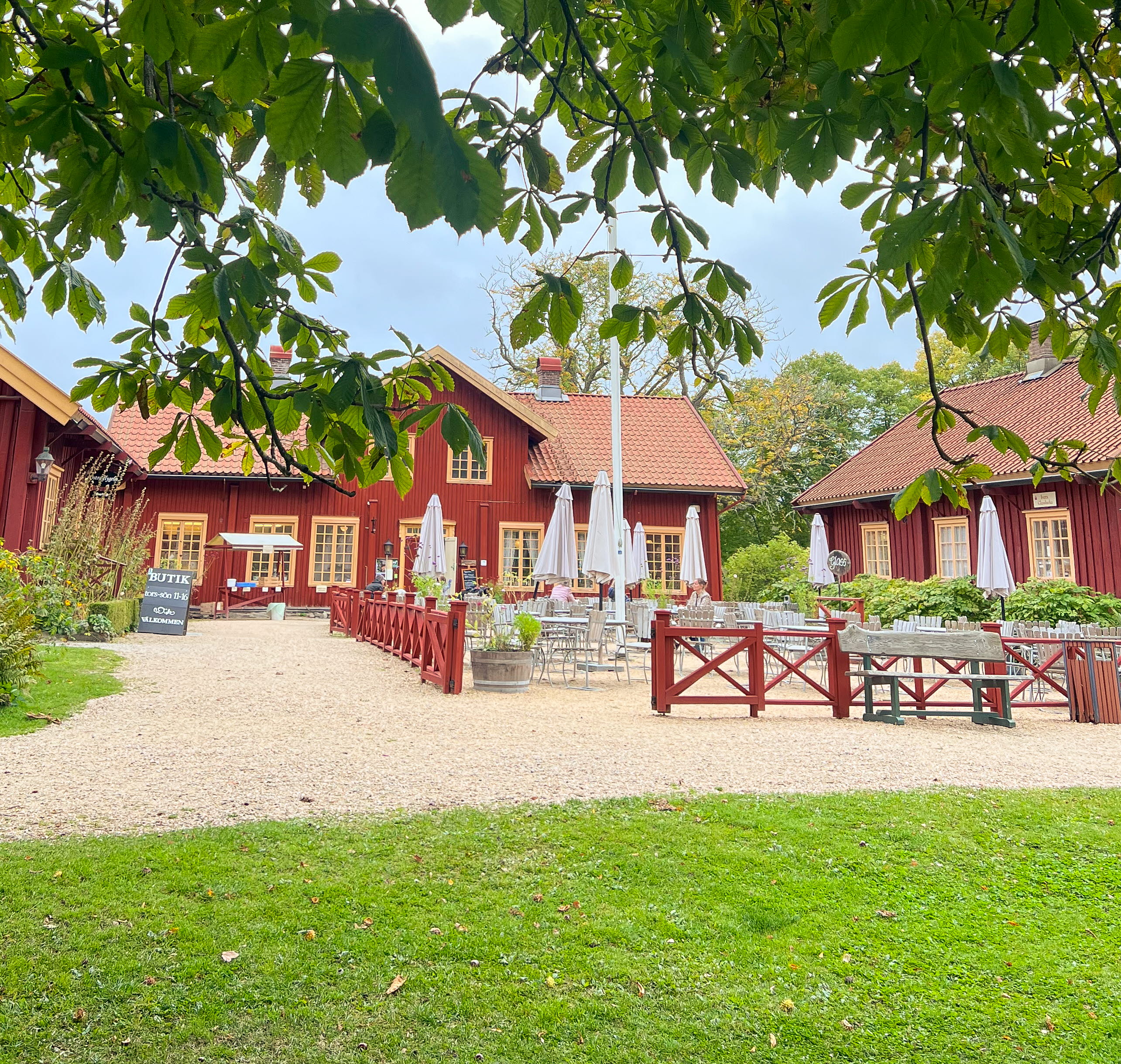 A man riding a mountain bike through a forest
