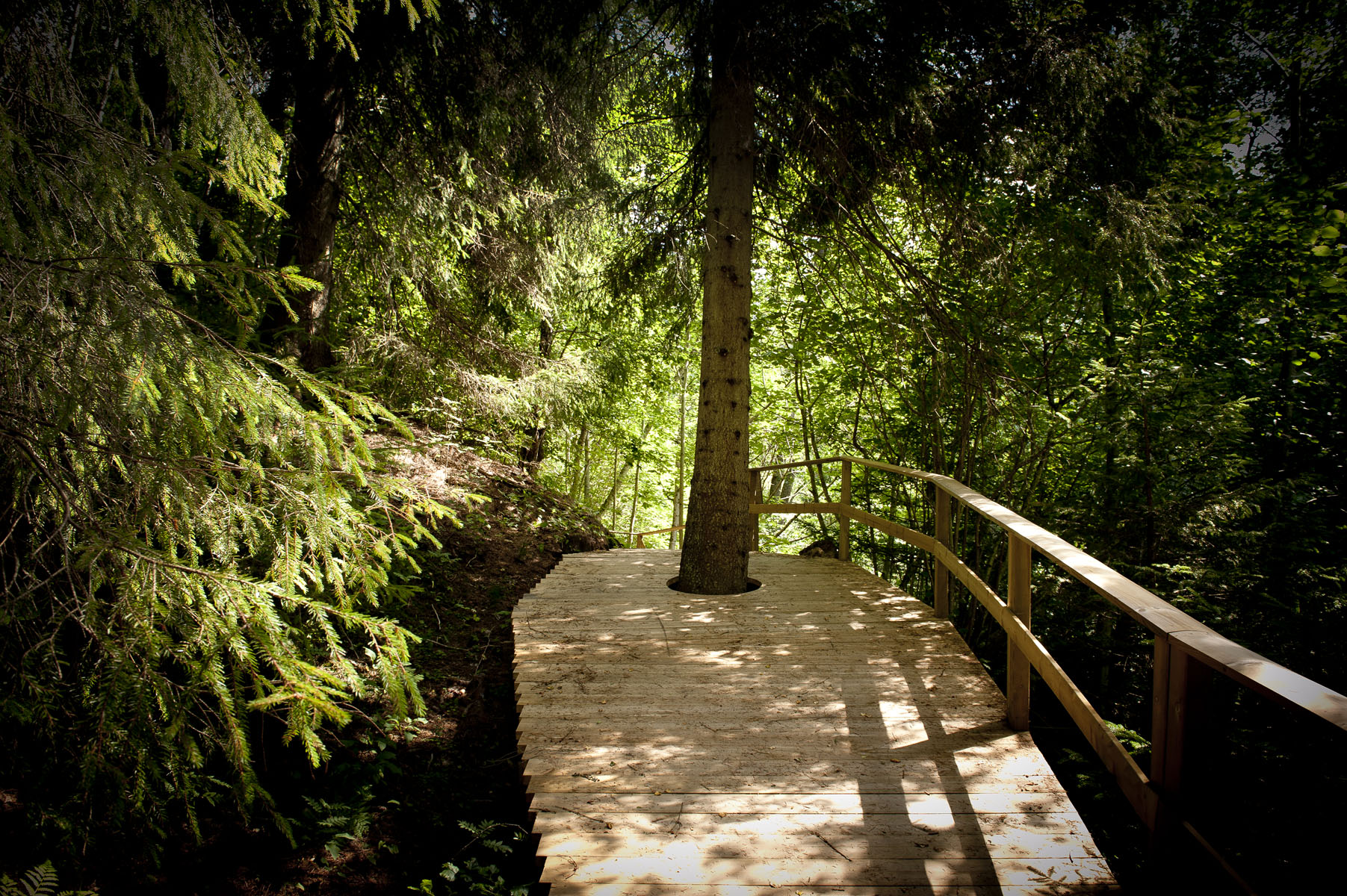  Hiking trail Stenebyleden at Dalslands Aktiviteter